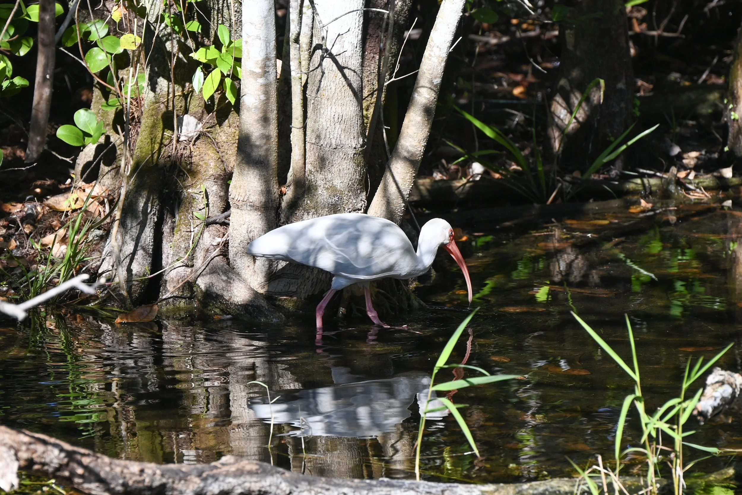 Weixin Image_20260103155305_10_31.jpg