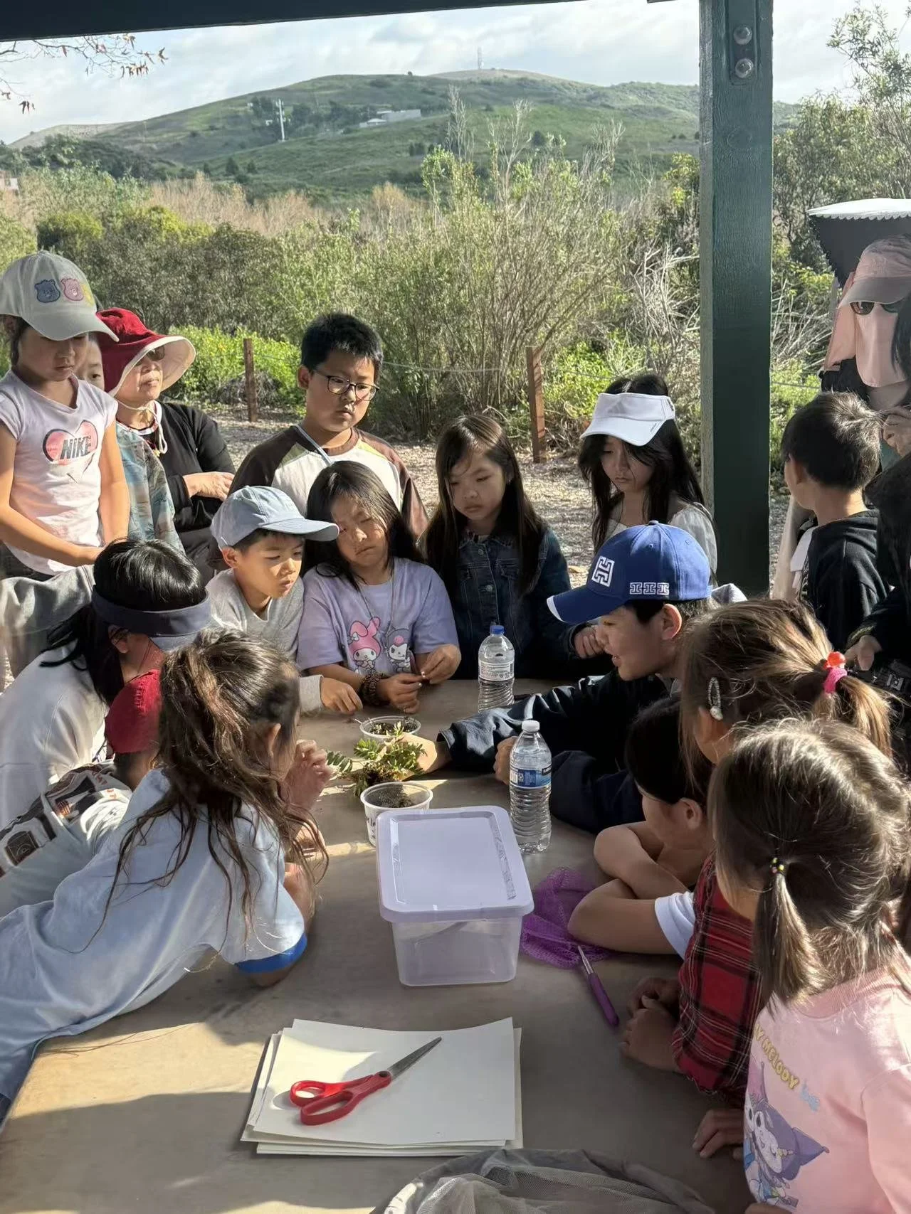 Weixin Image_20260125001543_79_31.jpg