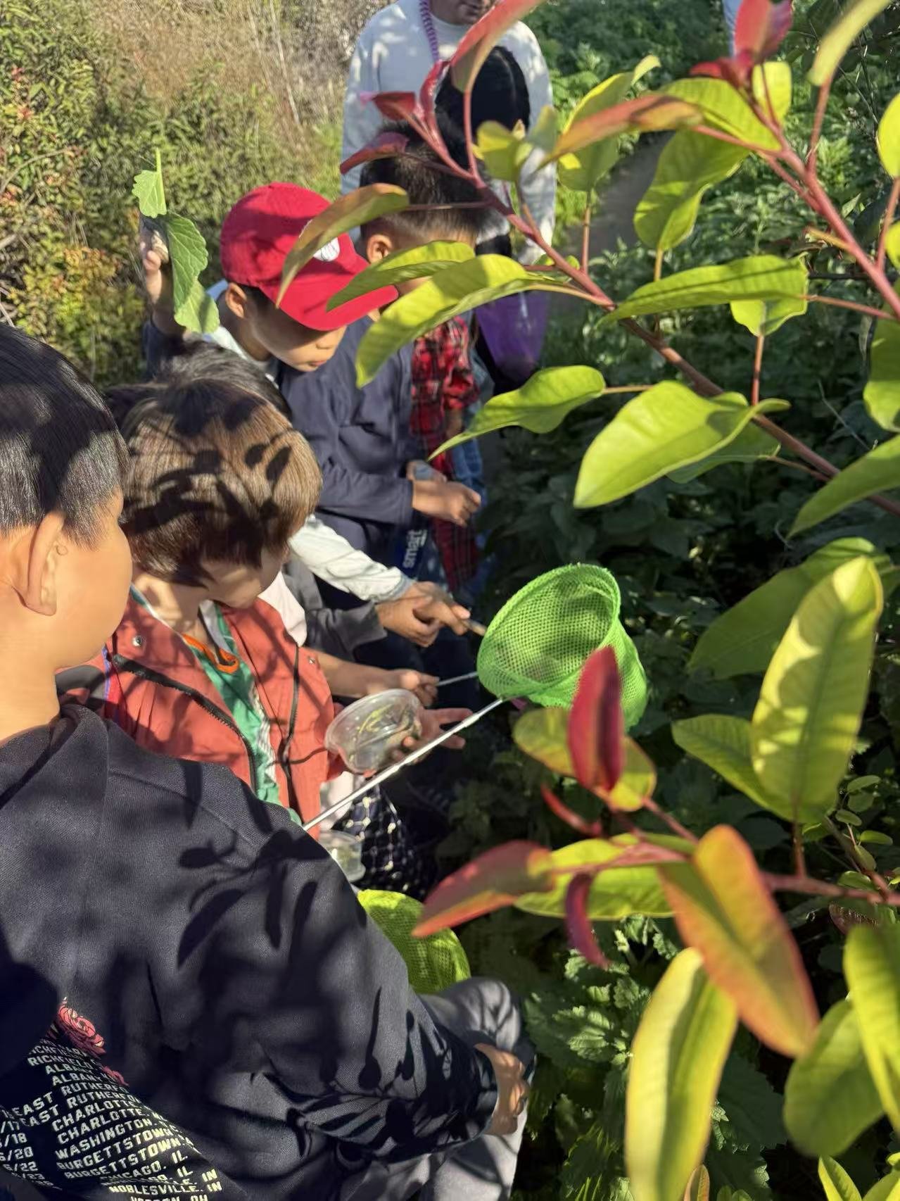 Weixin Image_20260125001151_59_31.jpg