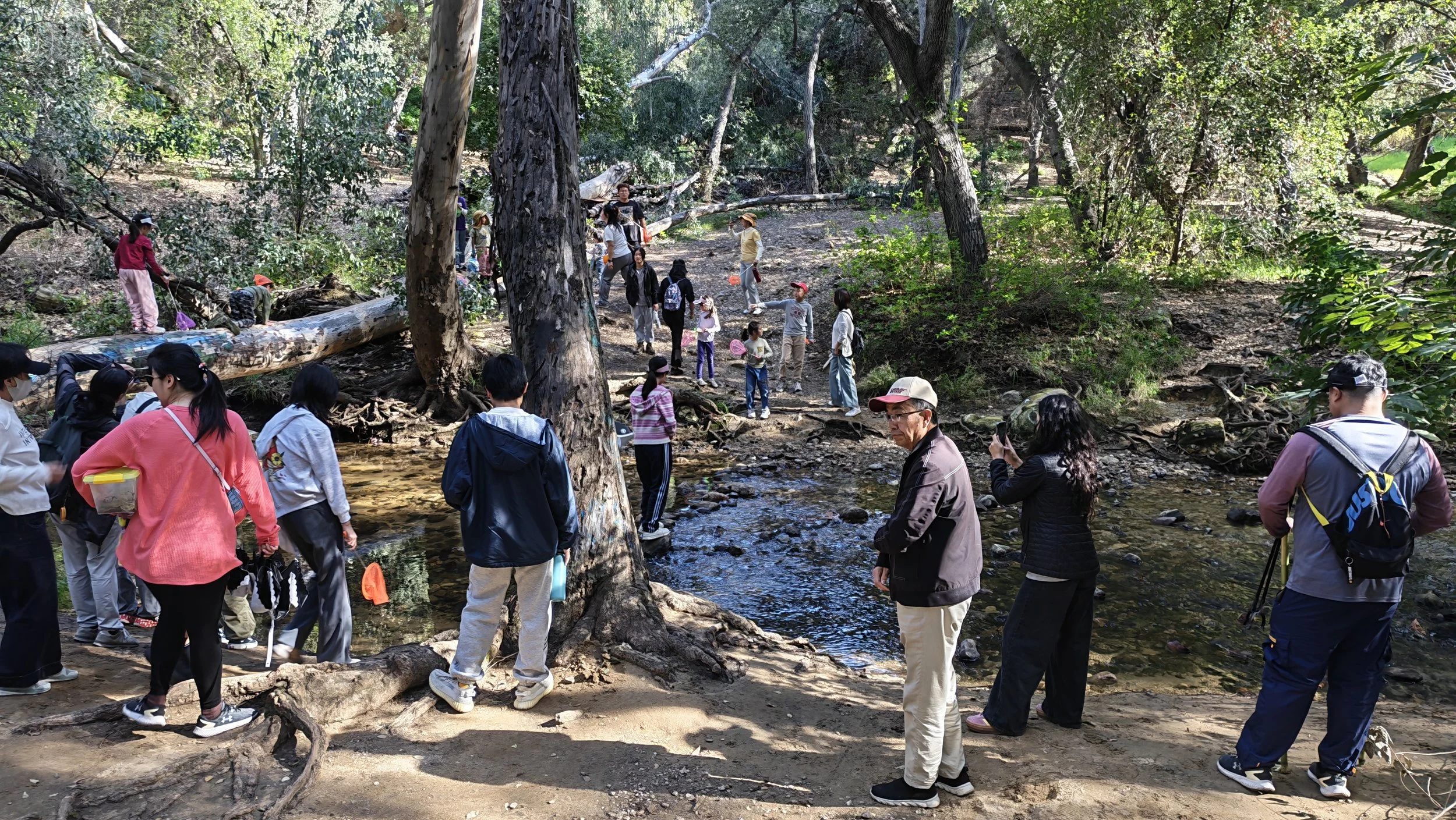 Weixin Image_20260222214410_450_11.jpg