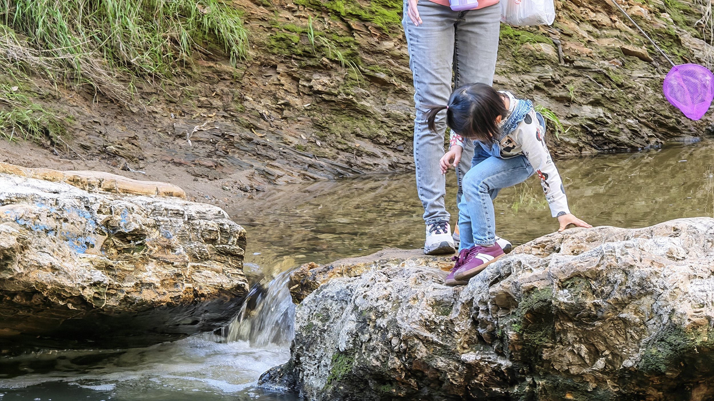 Weixin Image_20260222214526_466_11.jpg