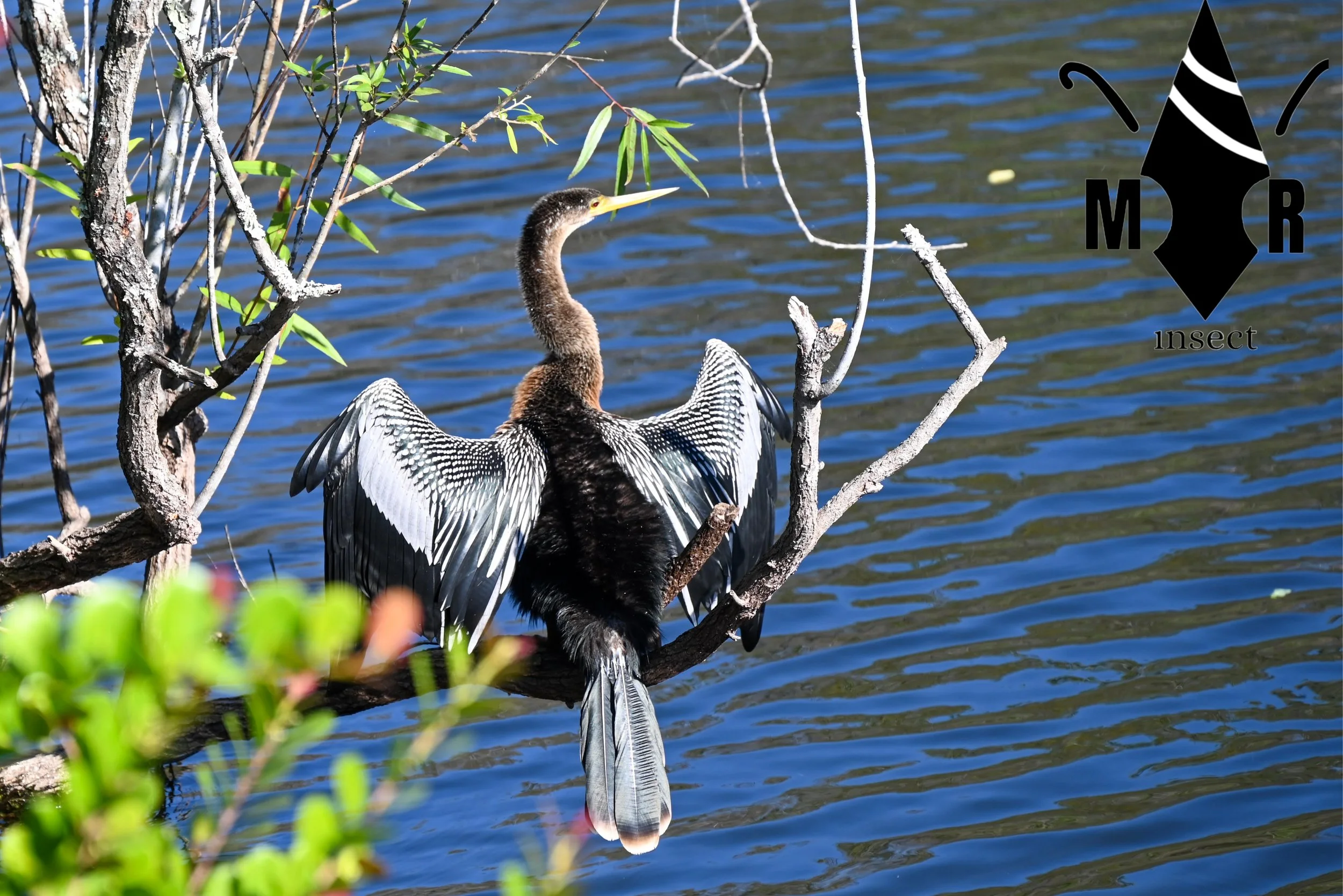 Weixin Image_20260103155627_52_31.jpg