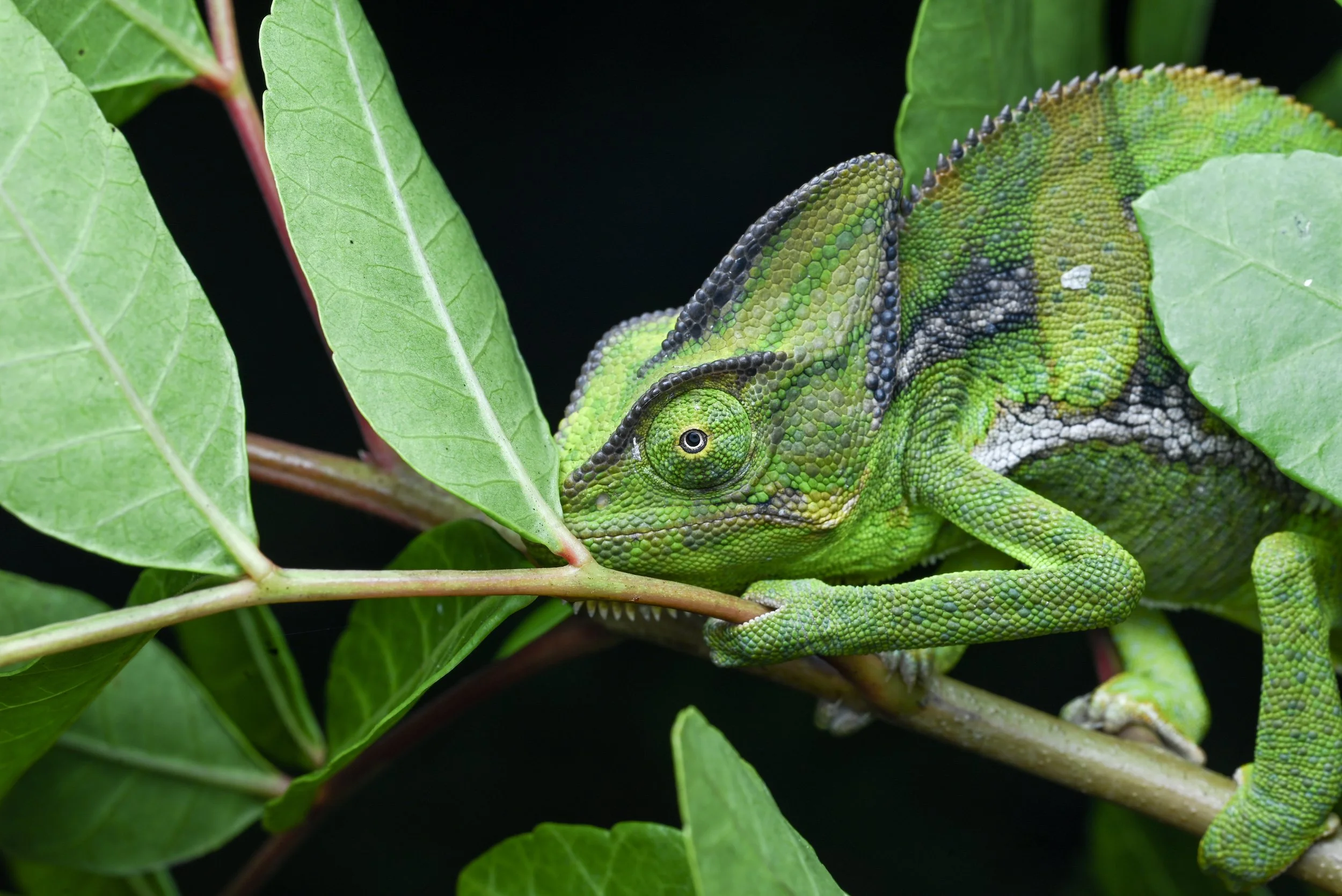 Weixin Image_20260103155508_43_31.jpg