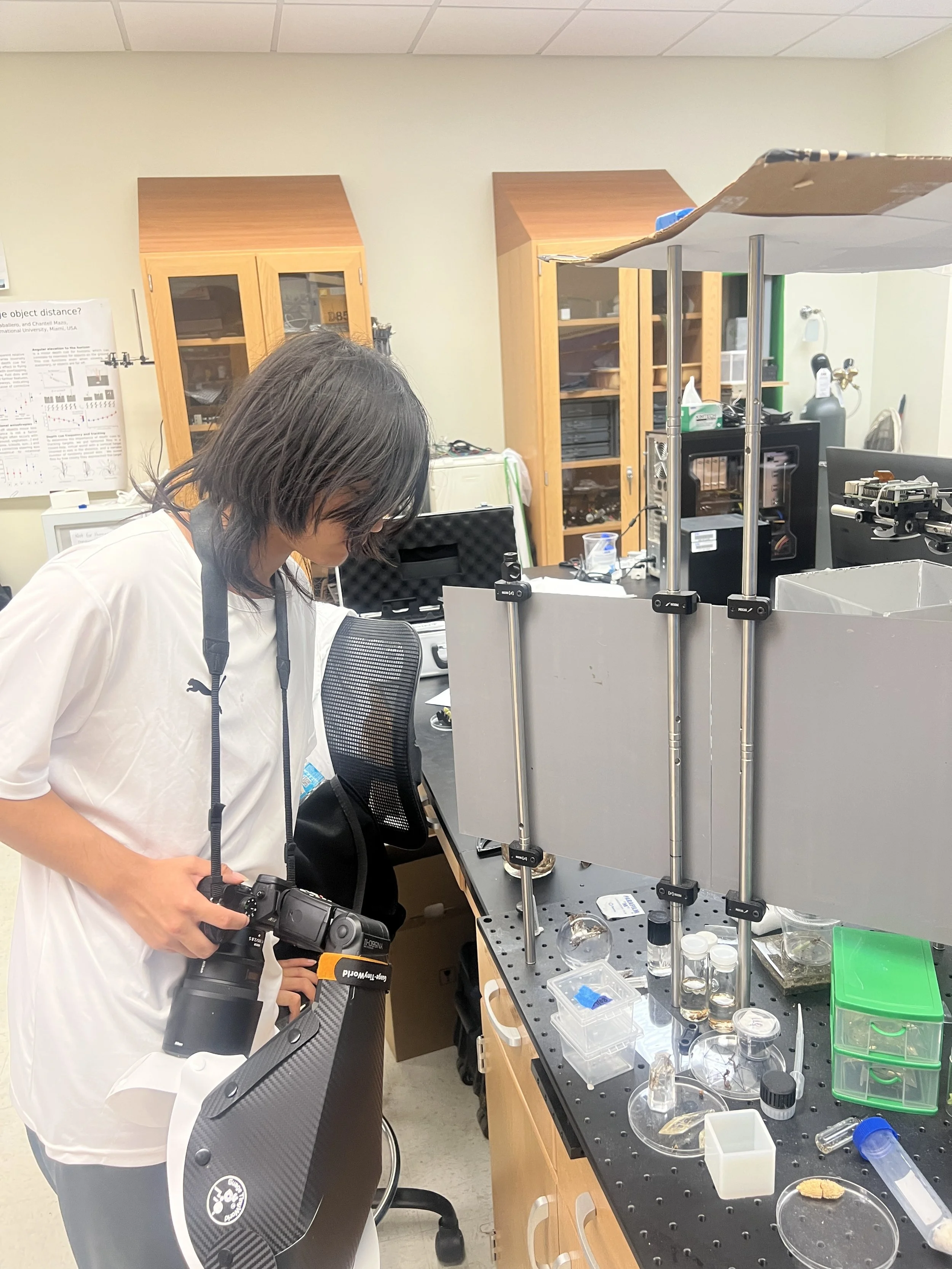 Weixin Image_20260103155325_18_31.jpg