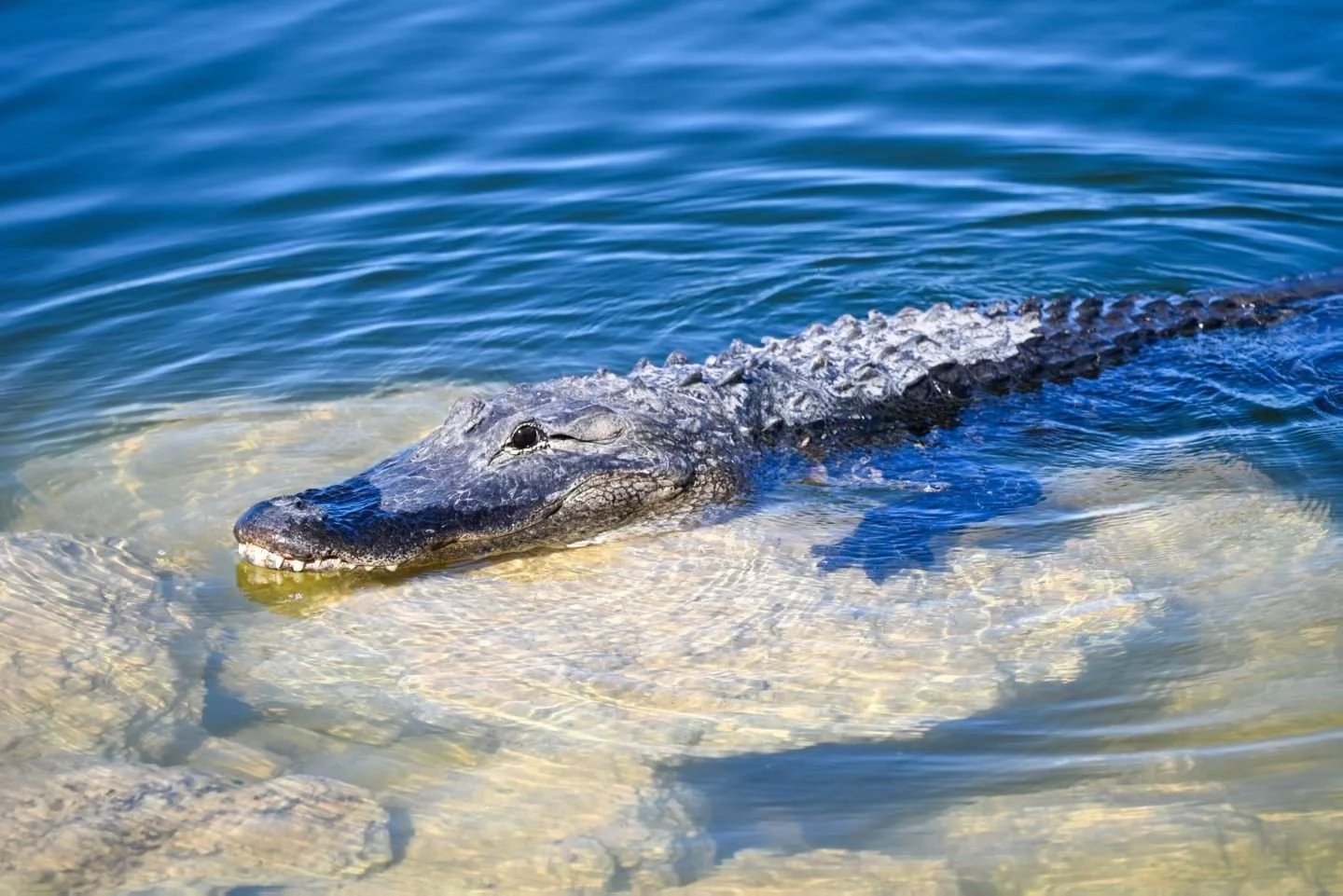 Weixin Image_20260103155314_14_31.jpg