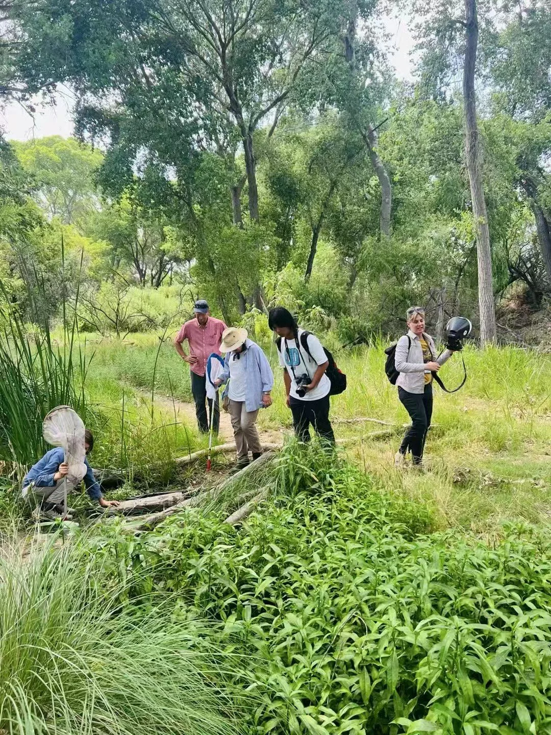 Weixin Image_20260725154742_404_31.jpg