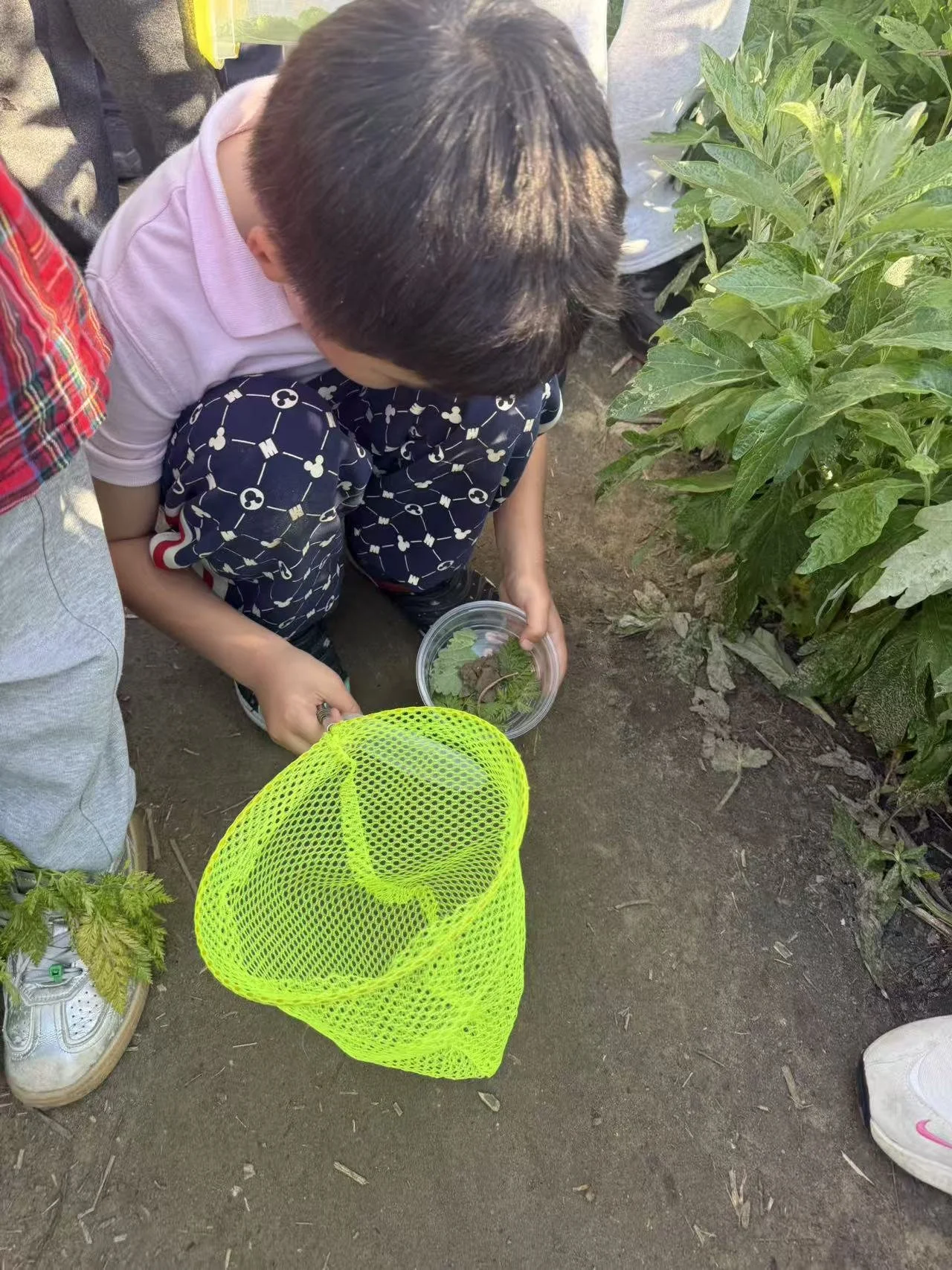 Weixin Image_20260125001710_81_31.jpg