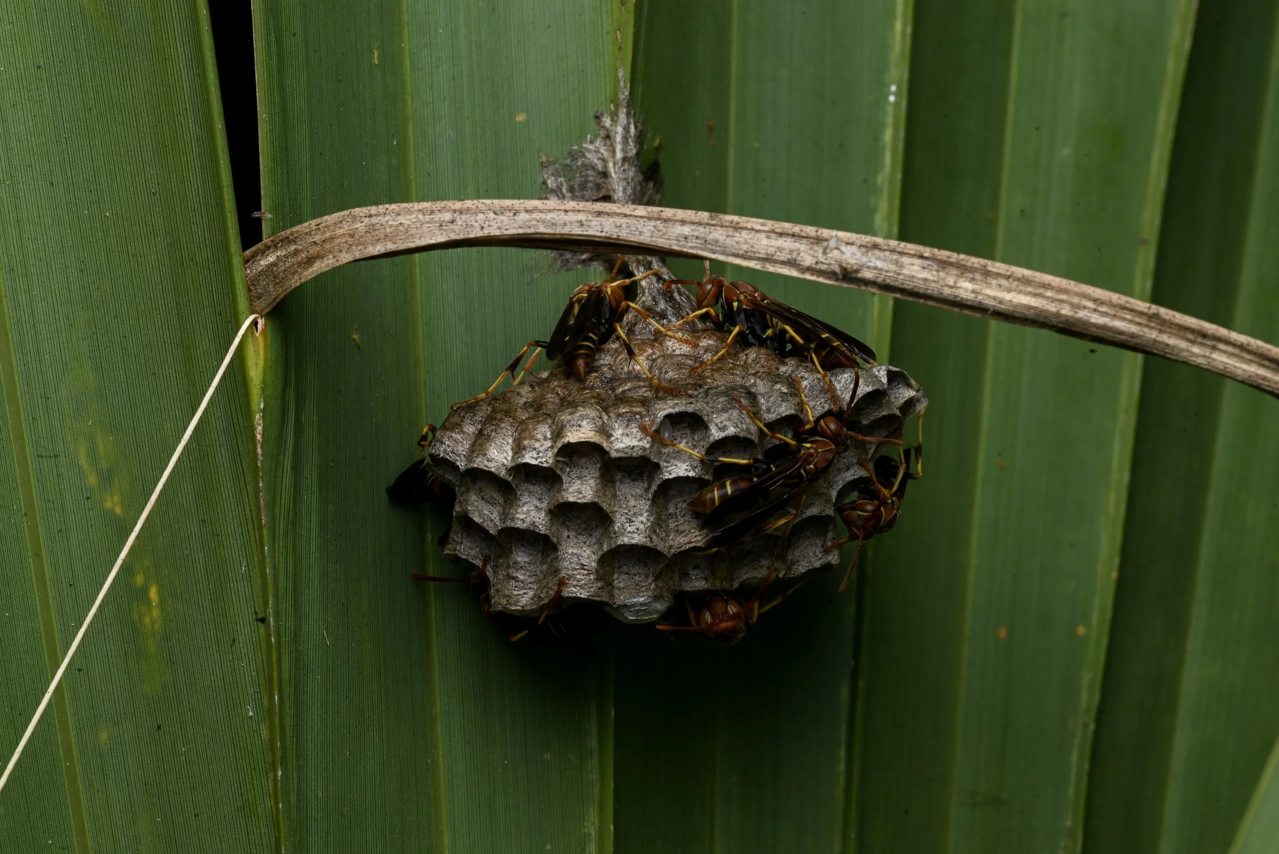 Weixin Image_20260103155413_32_31.jpg