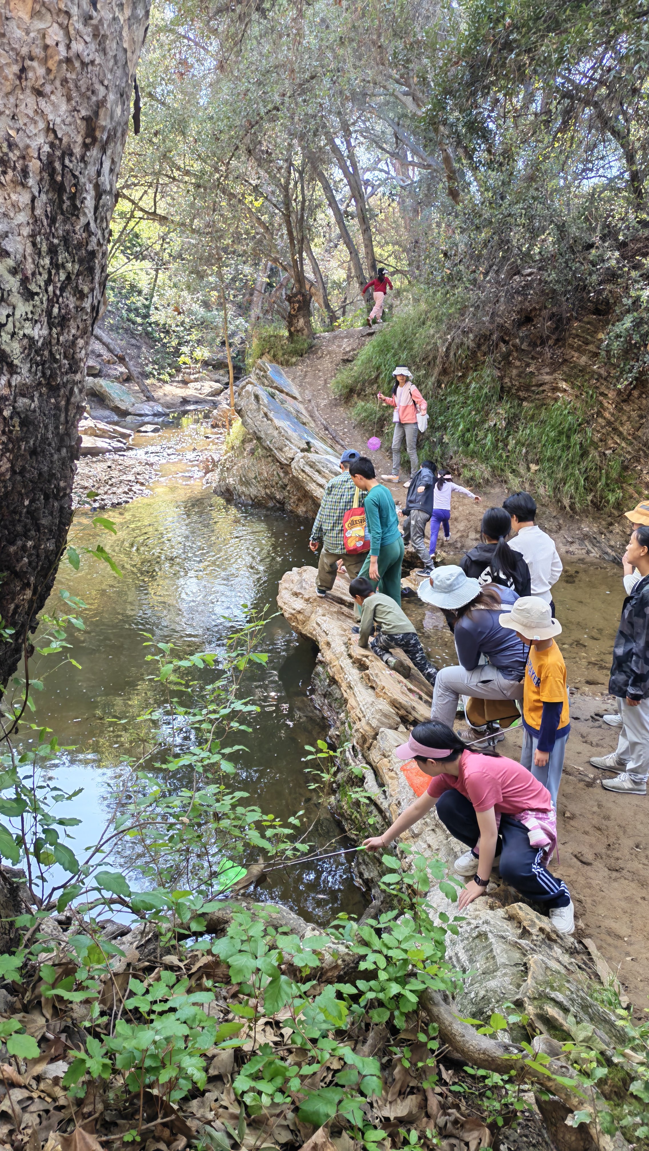 Weixin Image_20260222214507_462_11.jpg