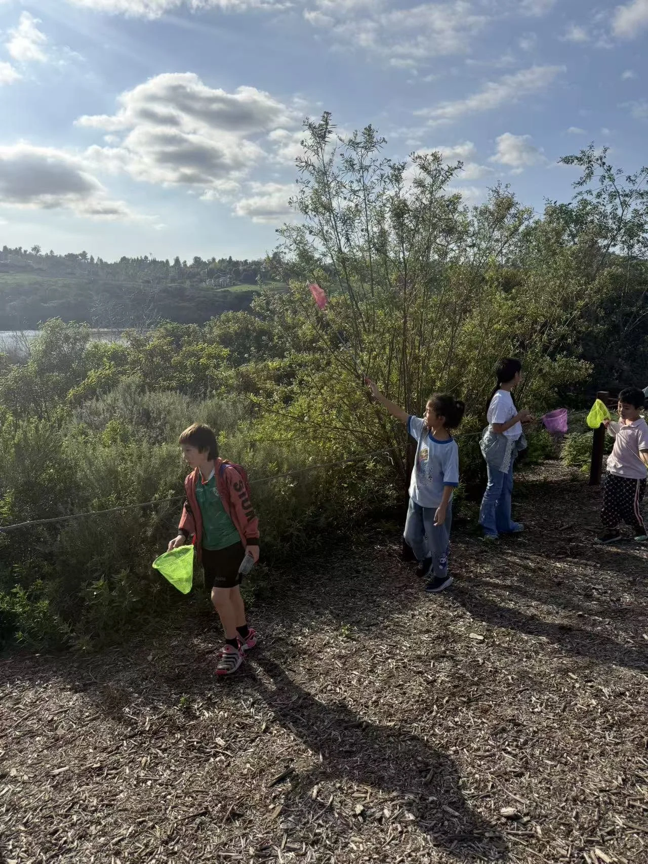 Weixin Image_20260125001716_85_31.jpg