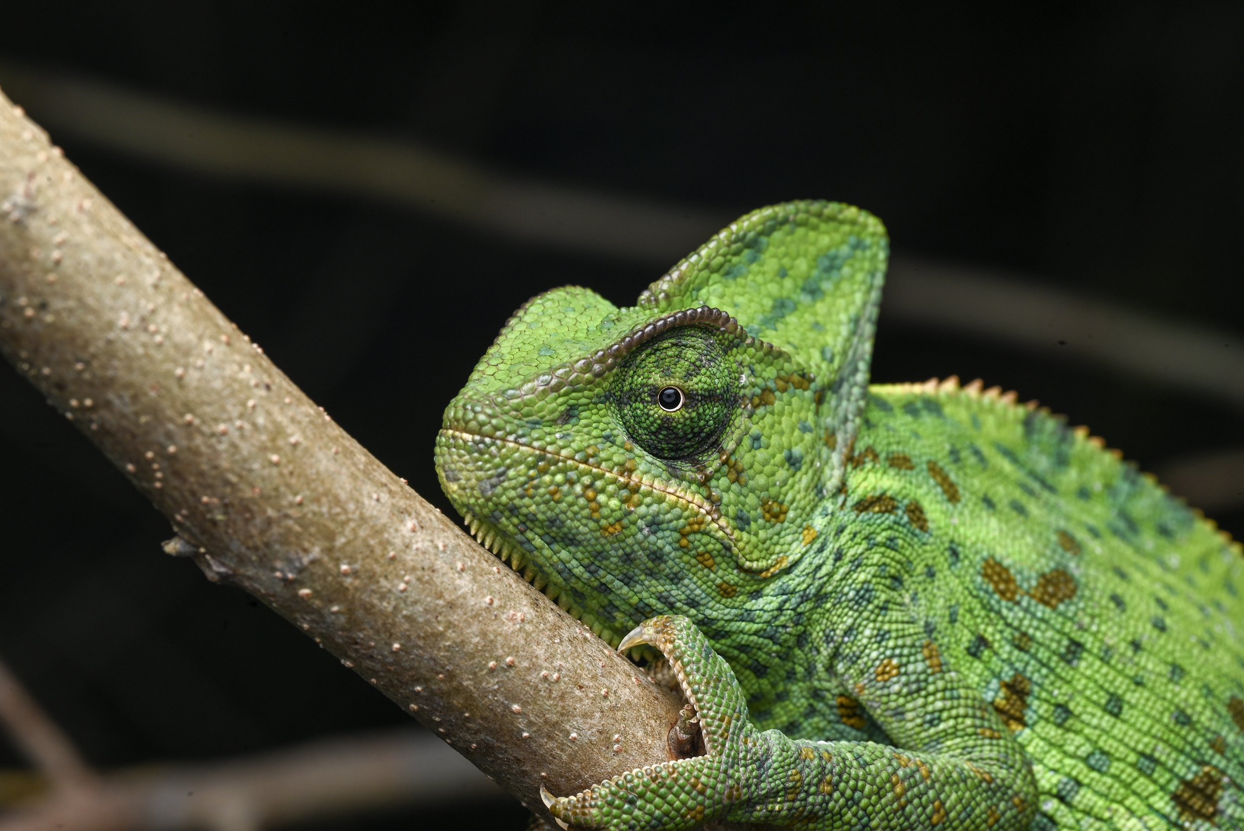 Weixin Image_20260103155447_35_31.jpg