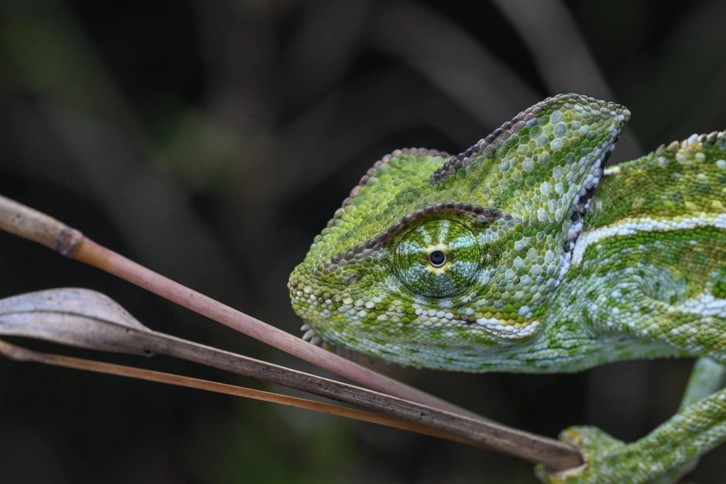 Weixin Image_20260103155522_49_31.jpg