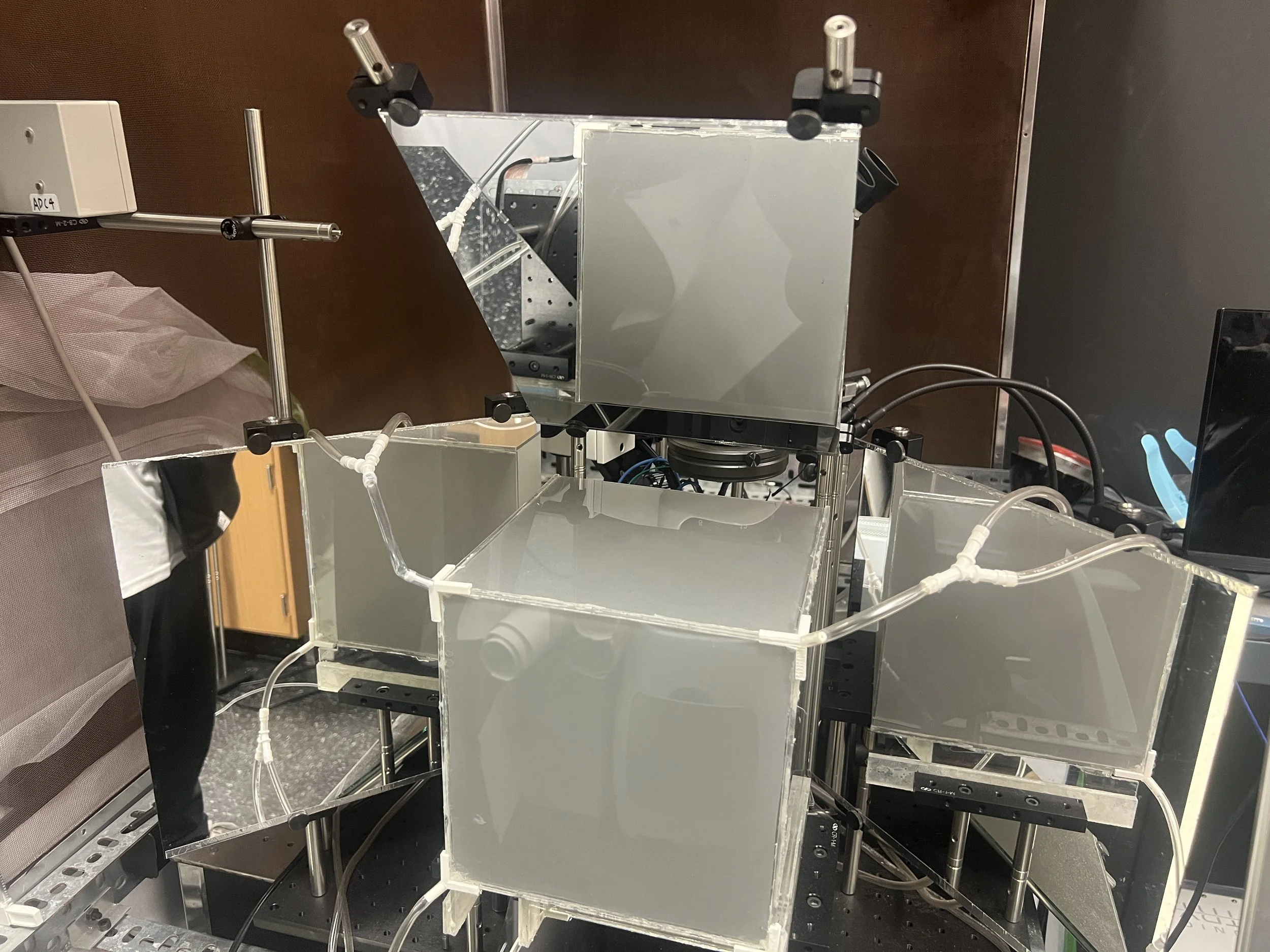 Weixin Image_20260103155348_26_31.jpg