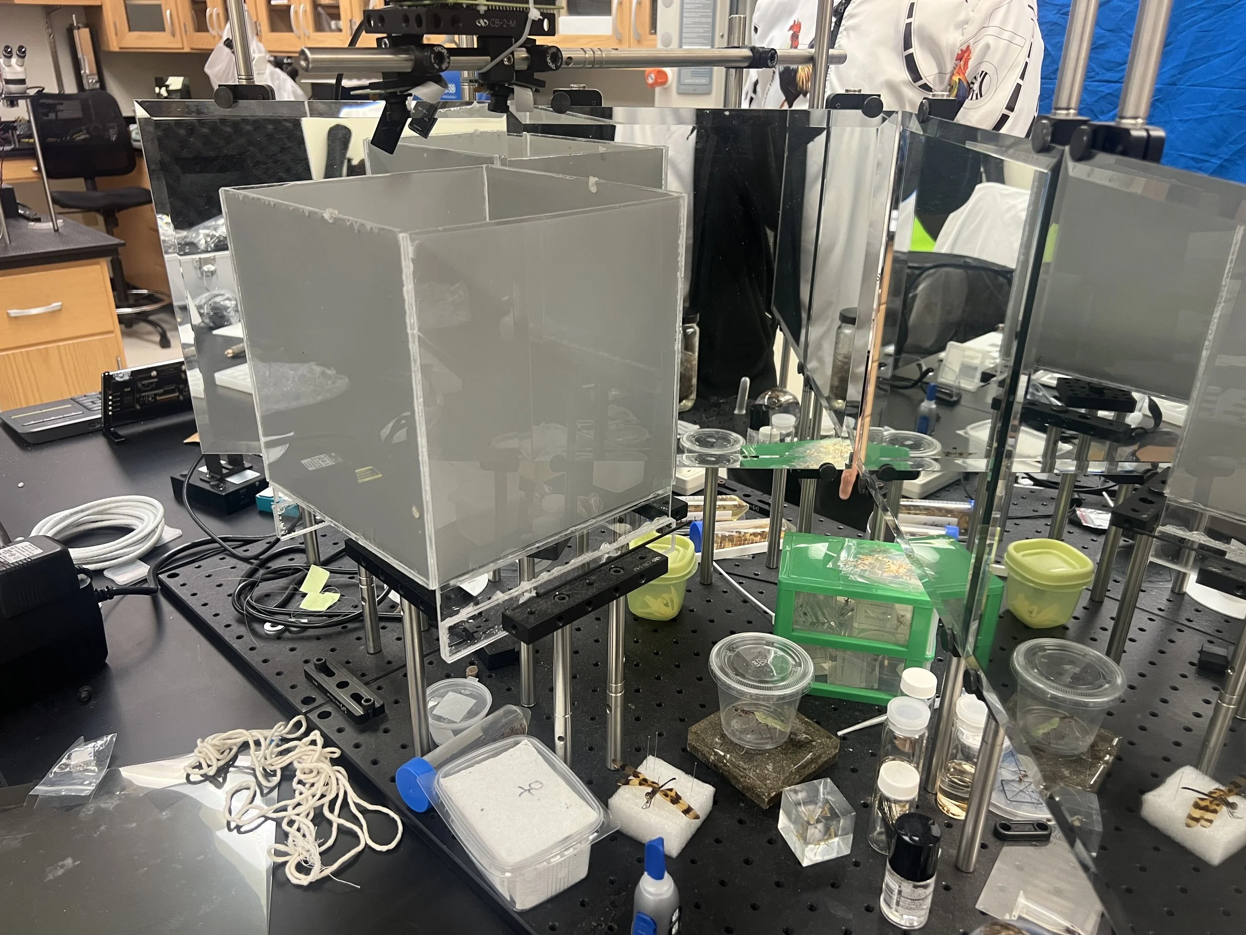 Weixin Image_20260103155338_23_31.jpg