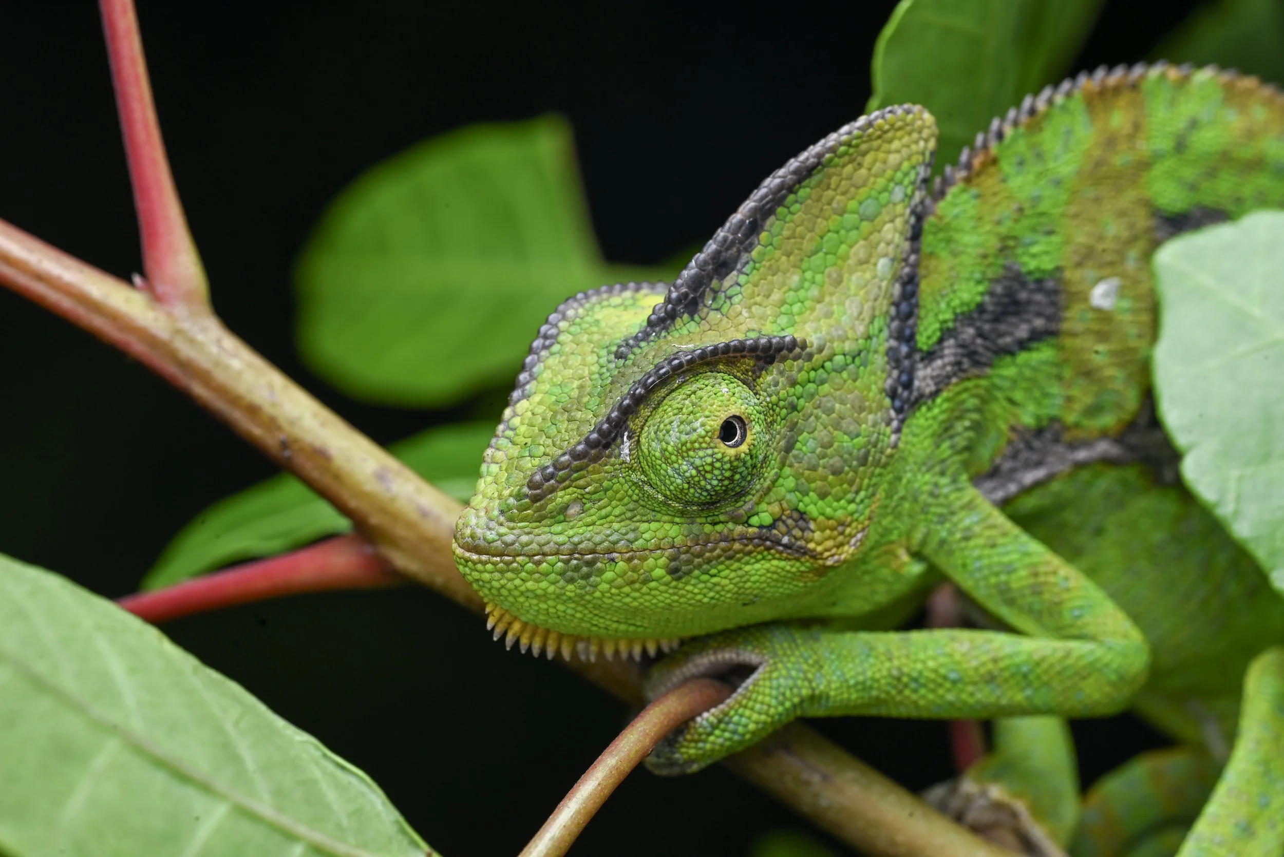 Weixin Image_20260103155511_44_31.jpg