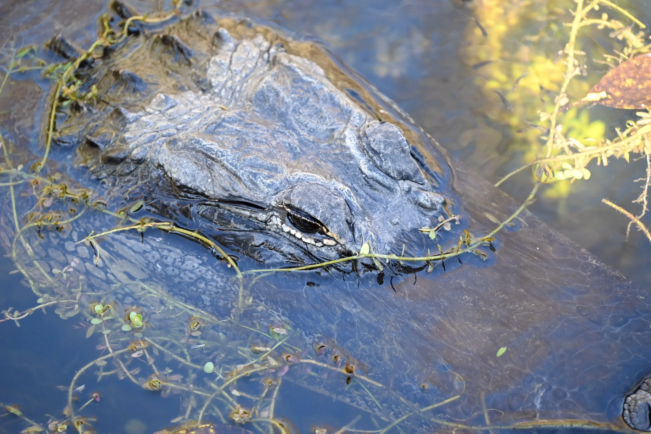 Weixin Image_20260103155311_12_31.jpg