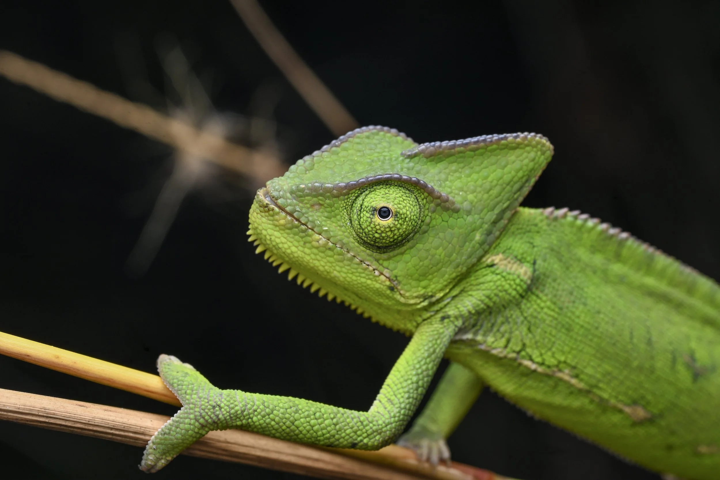 Weixin Image_20260103155450_36_31.jpg