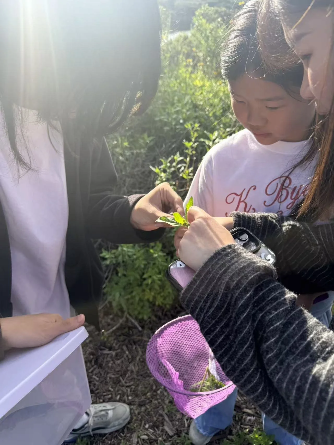 Weixin Image_20260125001522_76_31.jpg