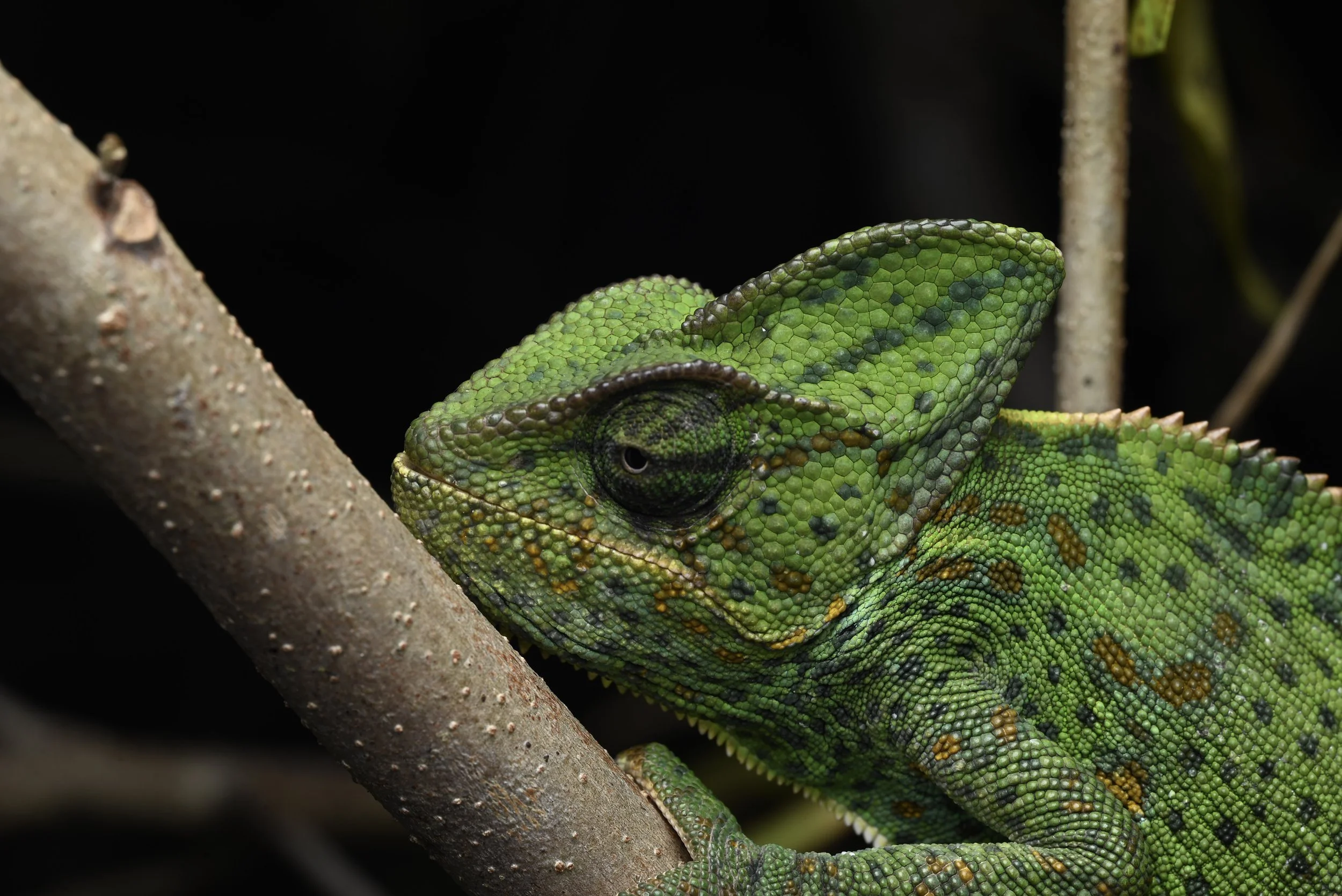 Weixin Image_20260103155458_40_31.jpg