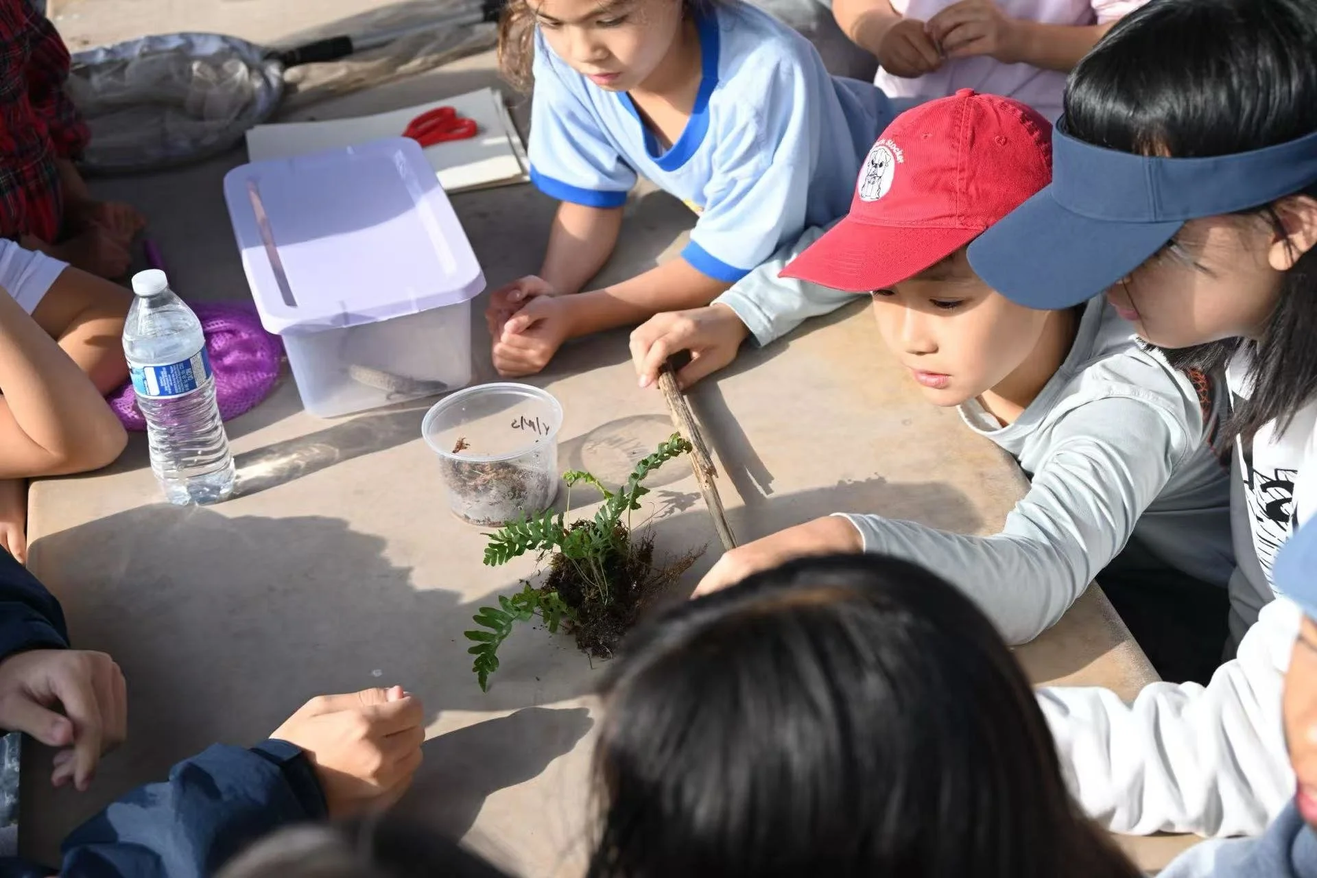 Weixin Image_20260125001348_67_31.jpg