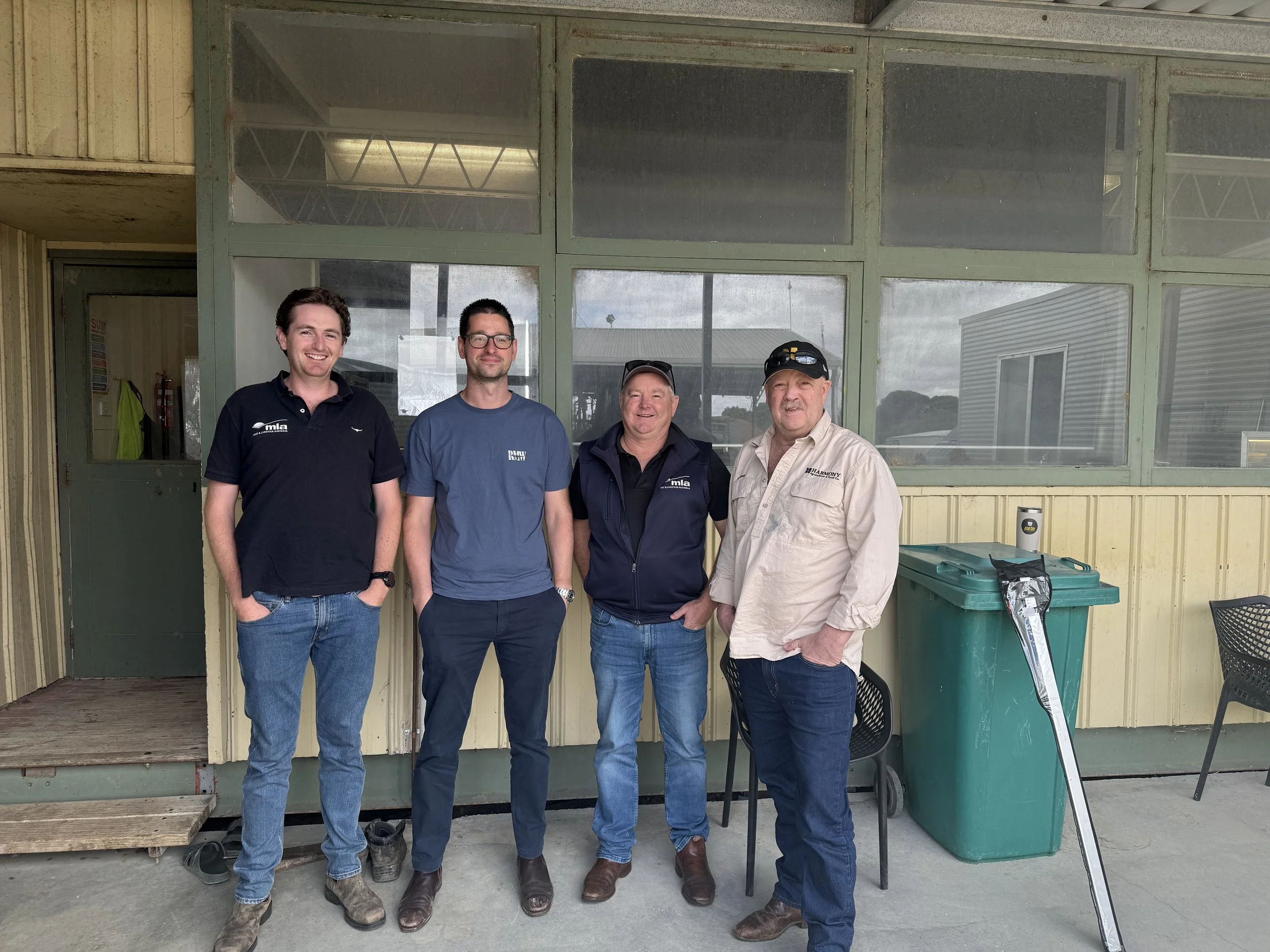 MEQ Live to become fully operational