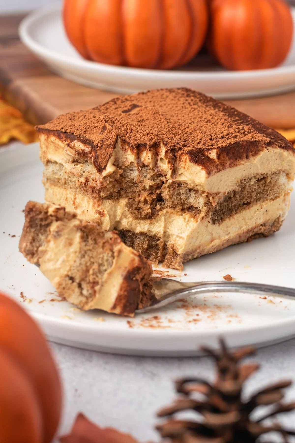 Pumpkin Tiramisu