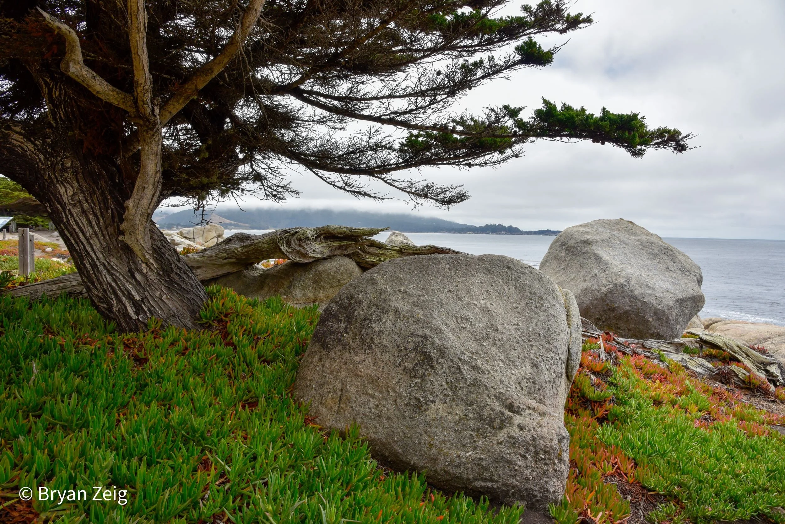 Pebble Beach Rocks web.jpg