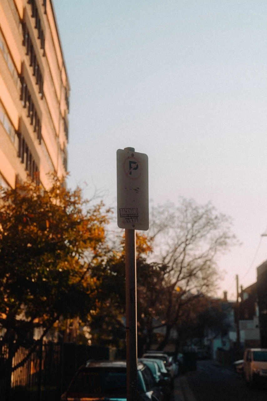 Decoding the Human Endocannabinoid System: An Essential Guide.