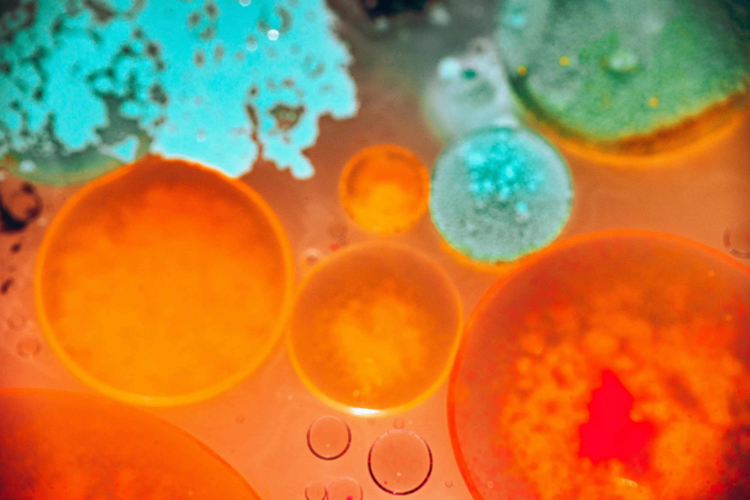 Unraveling the Mystery of the Entourage Effect in Cannabis.