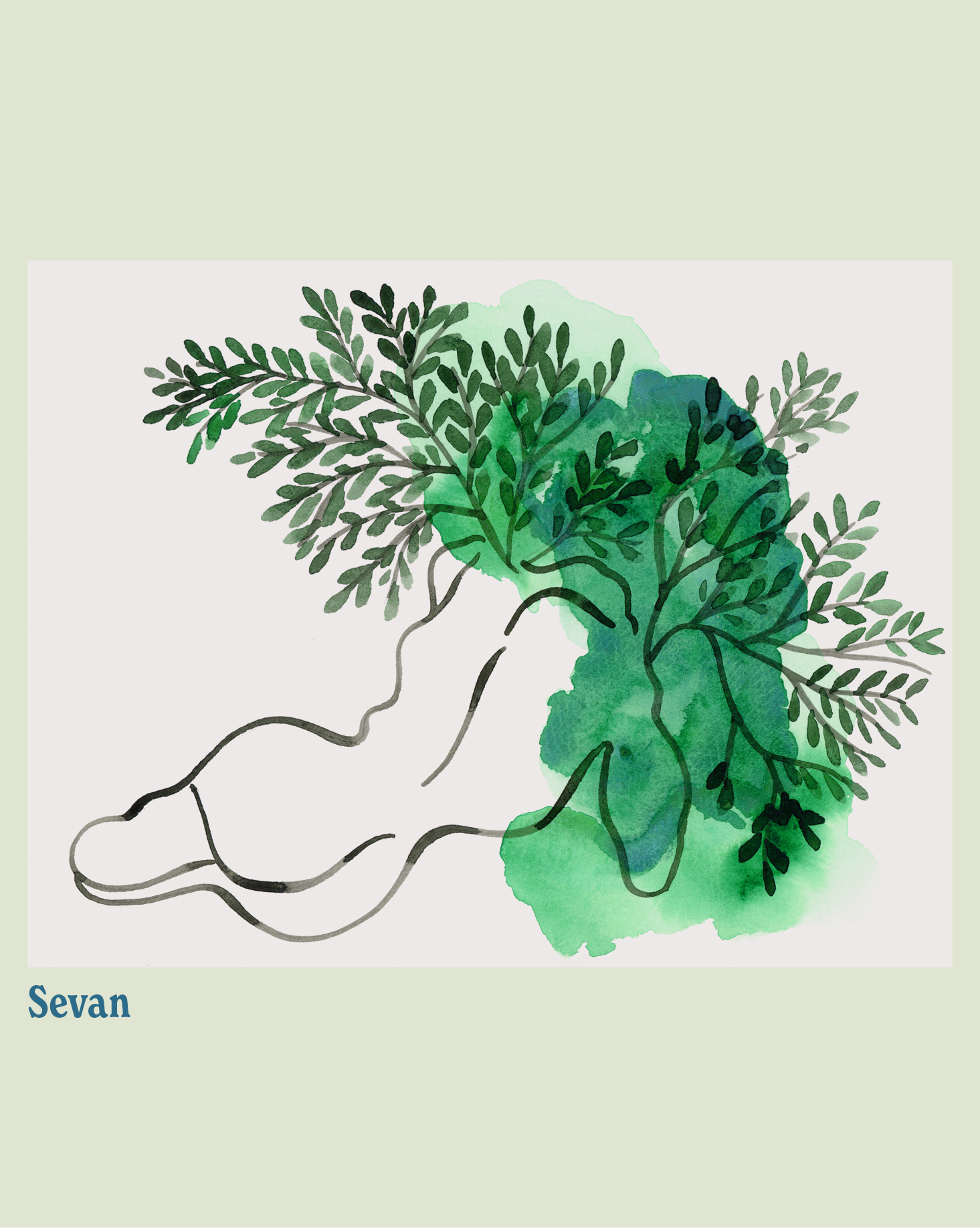 Sevan.png