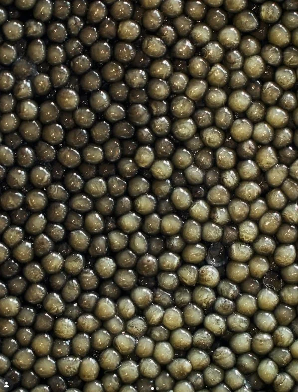 Caviar Anna Dutch Caviar.jpg