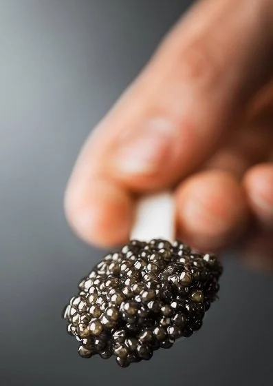 Caviar Calvisius White Sturgeon Caviar3.jpg