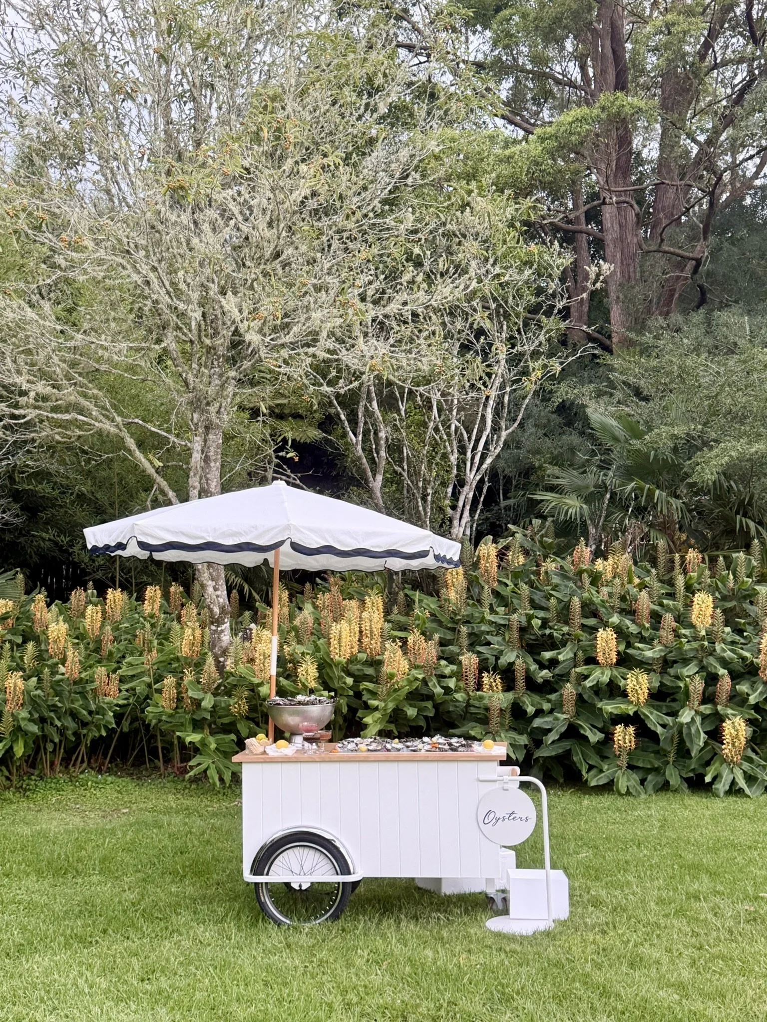 The Oyster Cart with bike wheels set in front of beautiful garden and native flora. Oysters on ice with condiments. 
