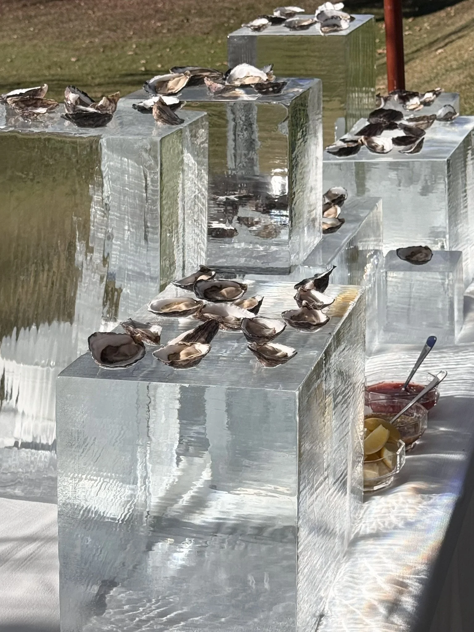 SHuck Yeah Oyster Catering - Oyster on large blocks of ice - Hunter Valley wedding