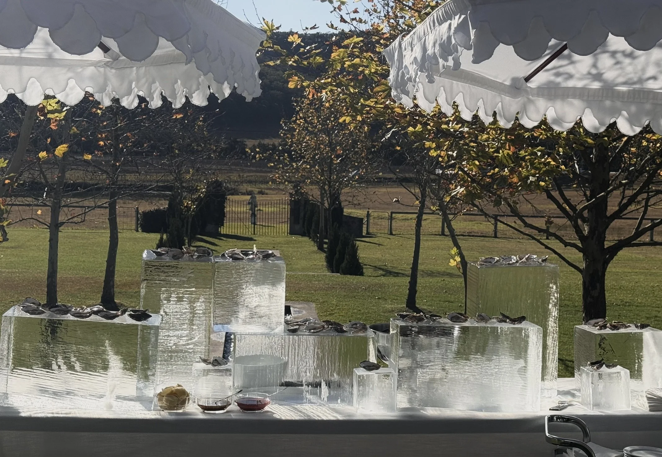 SHuck Yeah Oyster Catering - Oyster on large blocks of ice - Hunter Valley wedding