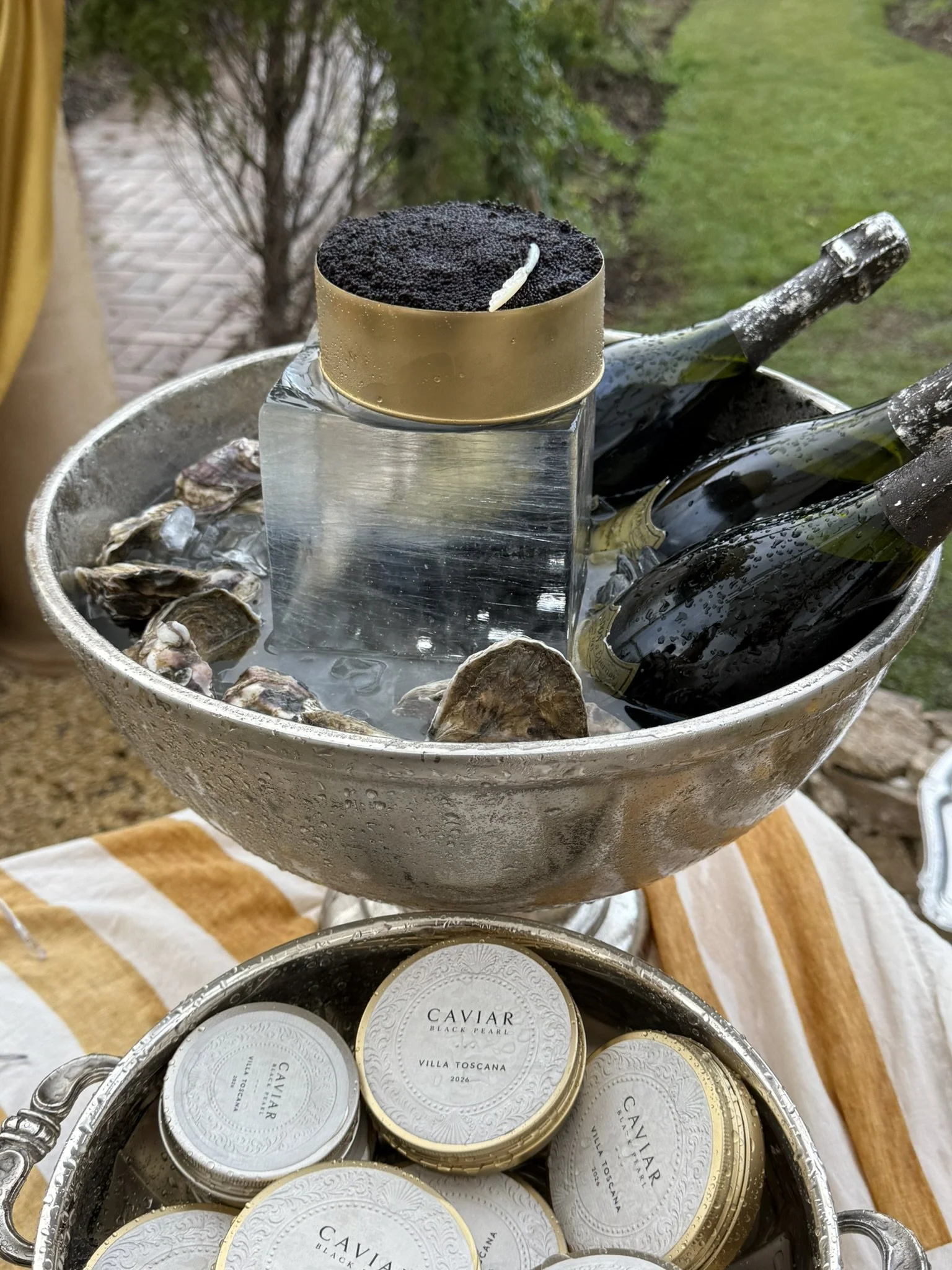 Oysters, champagne and caviar on ice. Shuck Yeah Oyster Catering, mobile oyster cart 