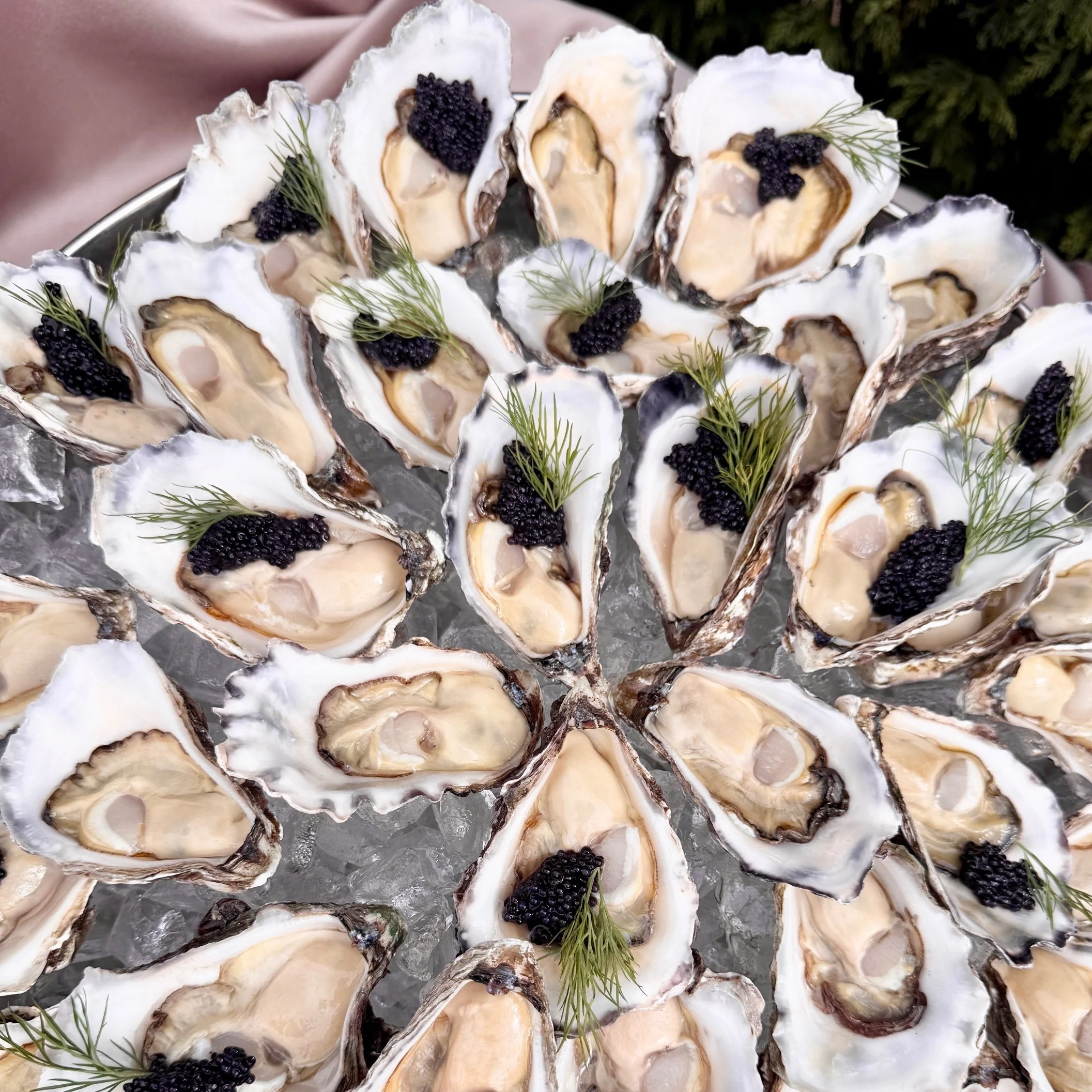 Sydney rock oysters with black caviar and dill, on ice - Oyster caterinf wedding Hunter Valley