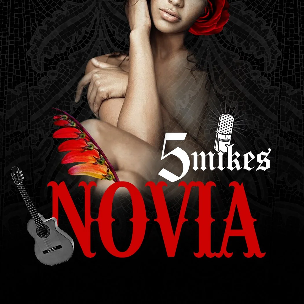 Novia cover art
