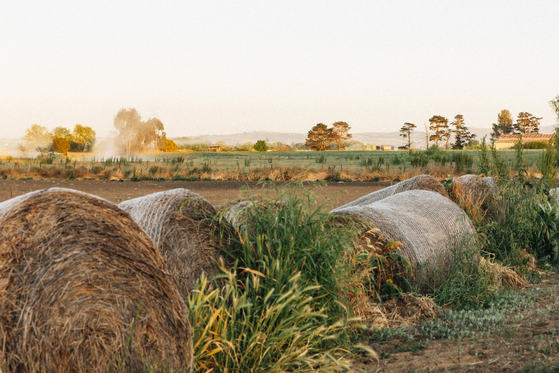HayShed-4.jpg