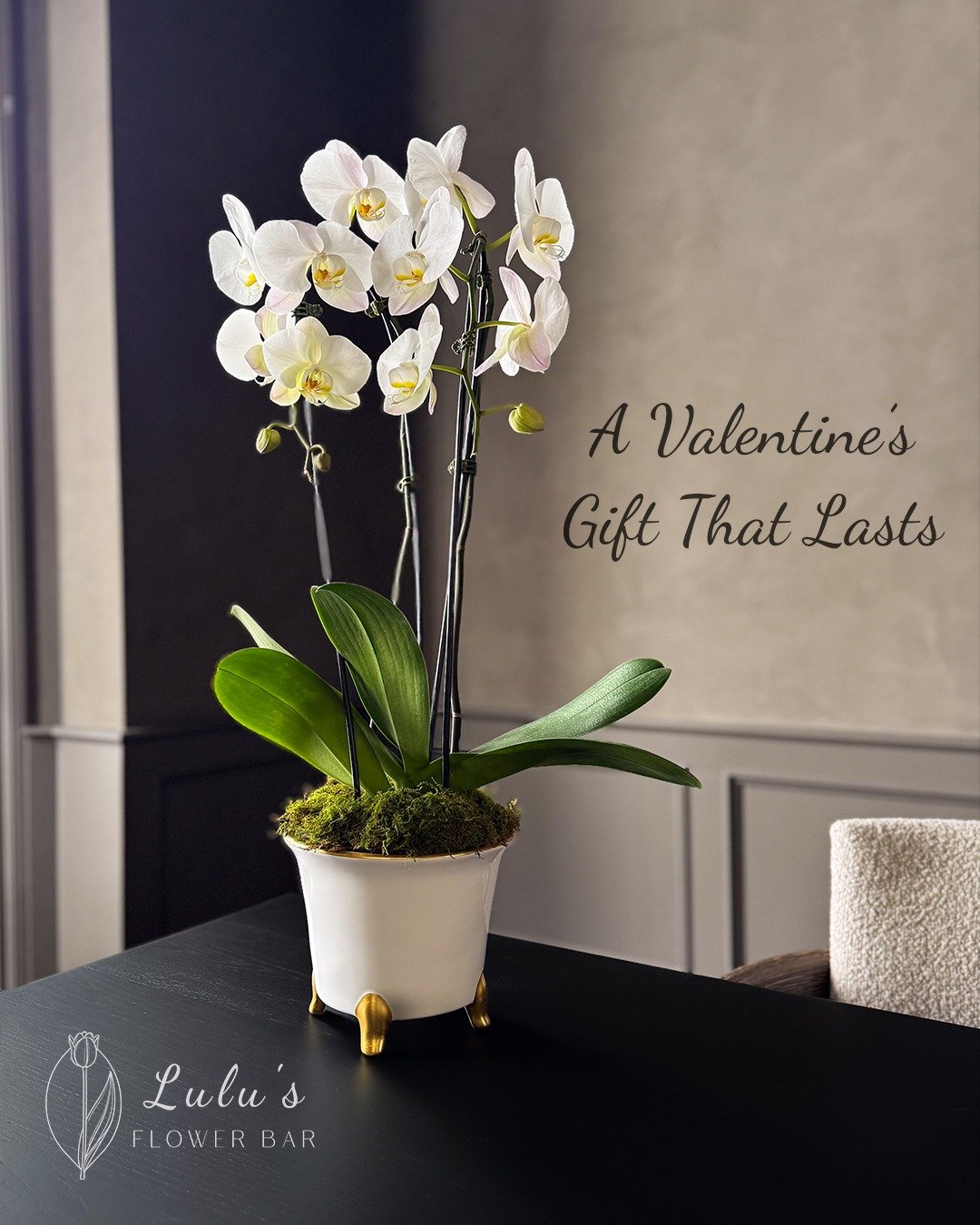 Our 2026 limited Valentine's Day collection is designed to last. DM to reserve yours by 2/10. ❤️