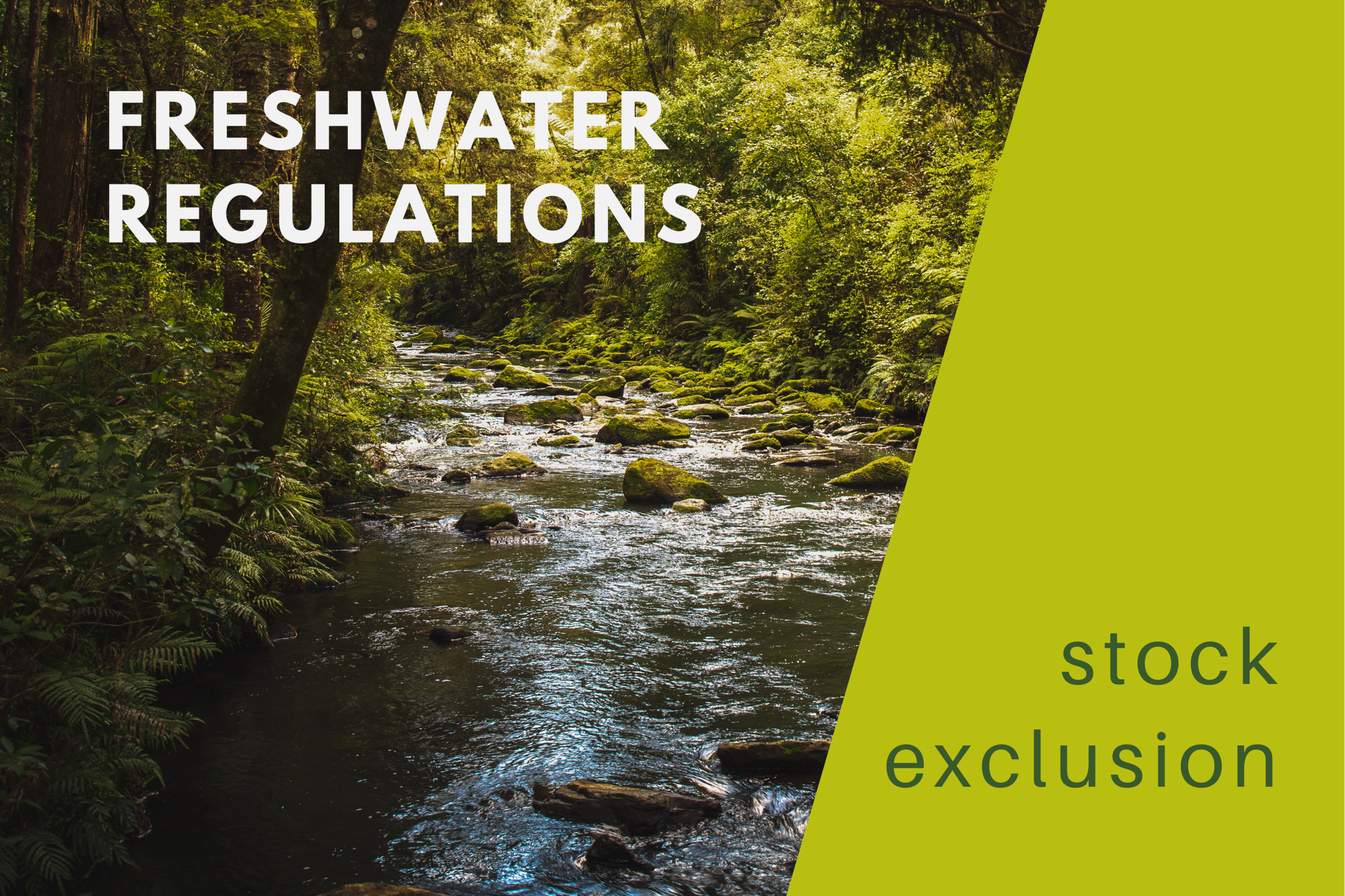 Regulations for stock exclusion