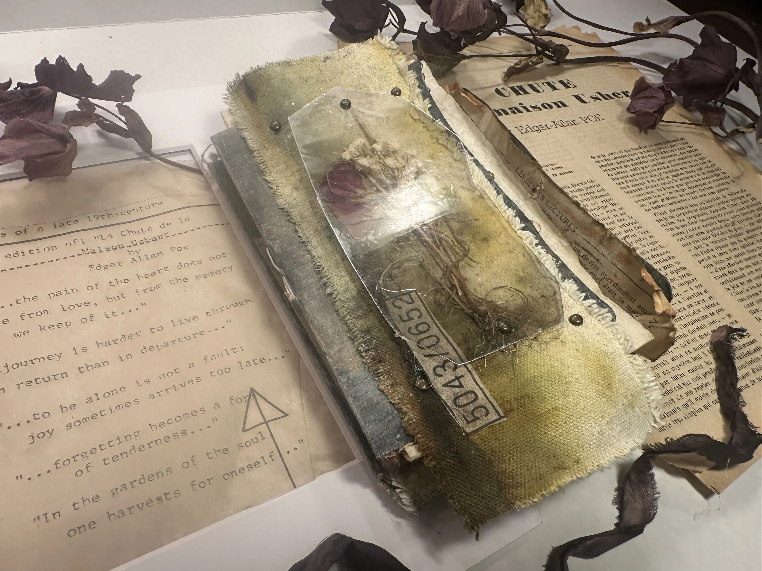 The Day I Met Edgar-Allan POE…