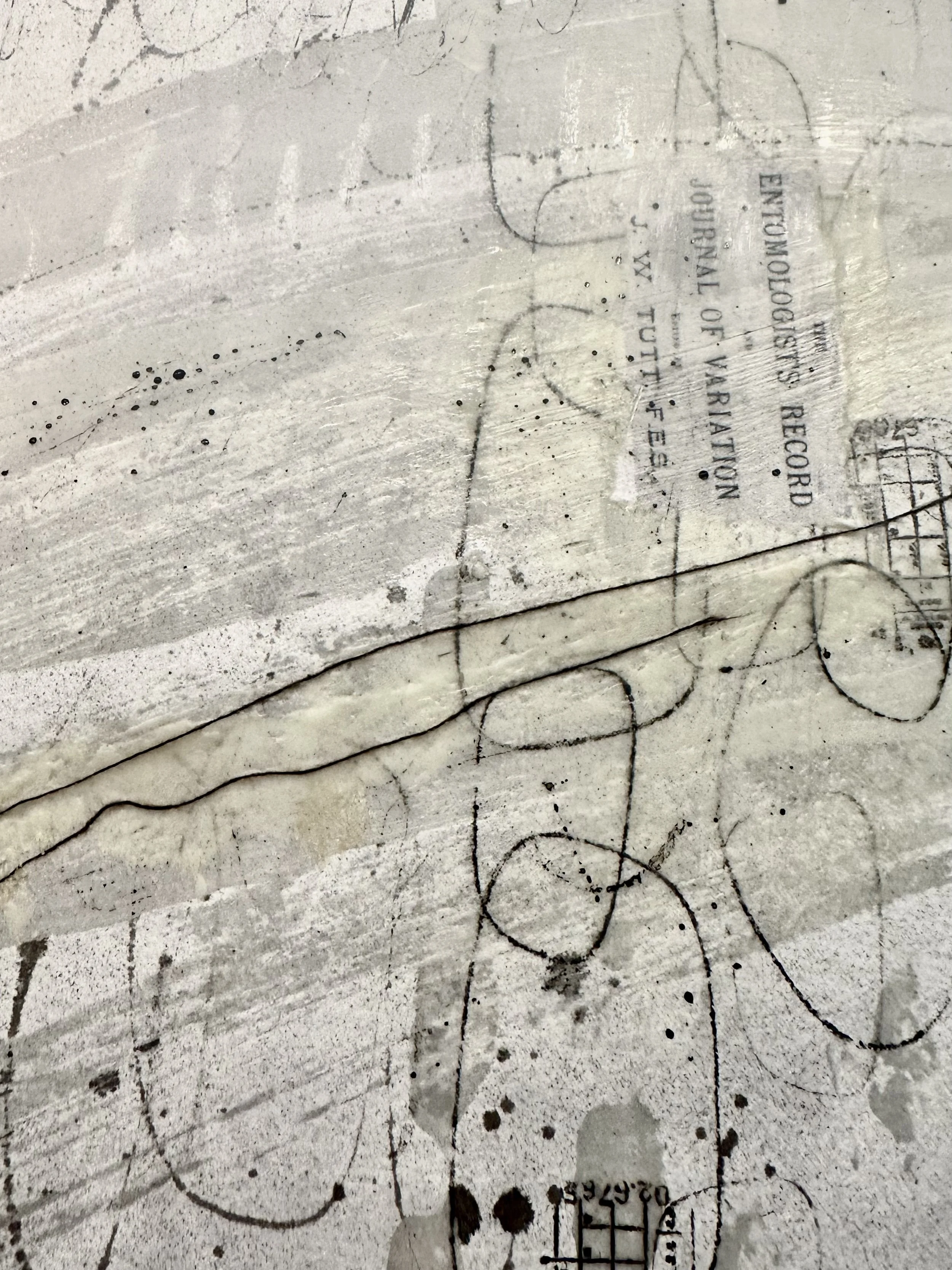 Mixed Media - Encaustic