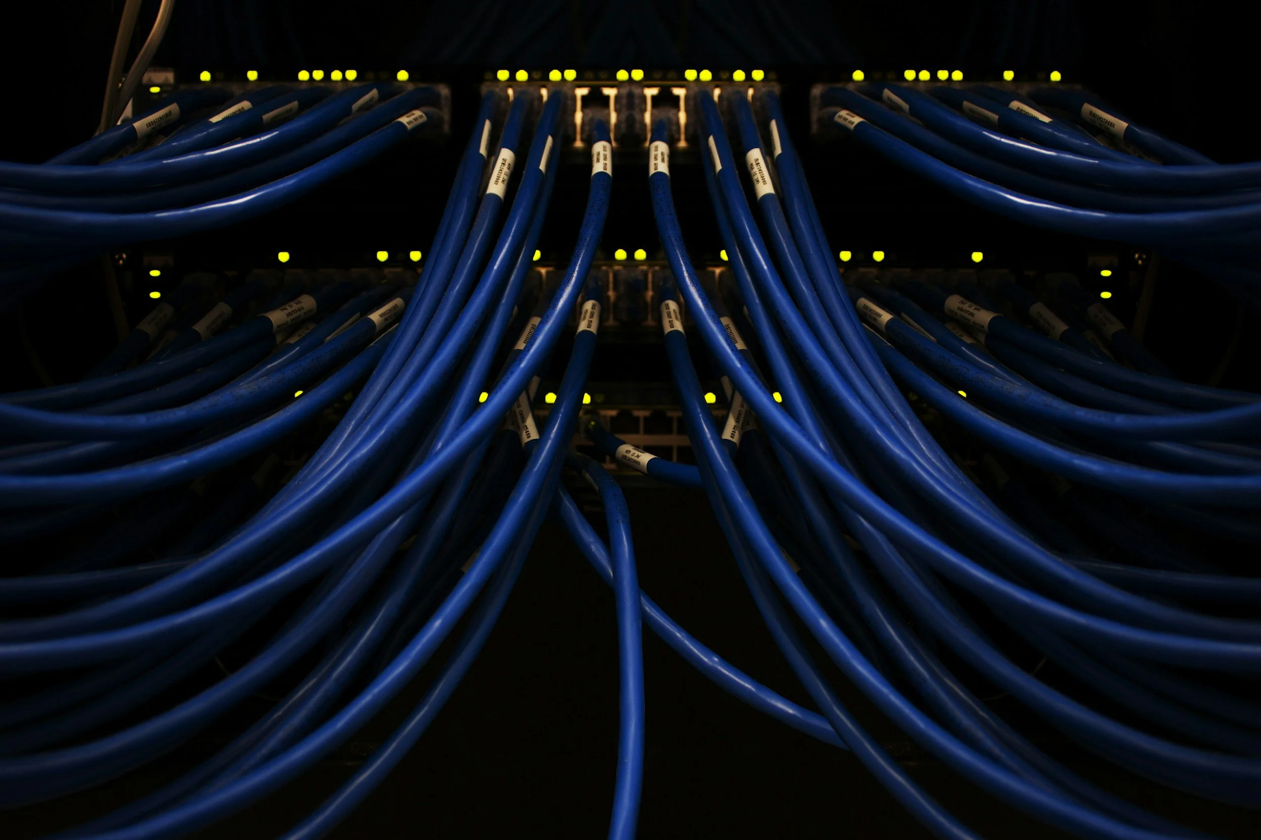 Close-up of a network switch with multiple blue Ethernet cables connected and illuminated yellow indicator lights.