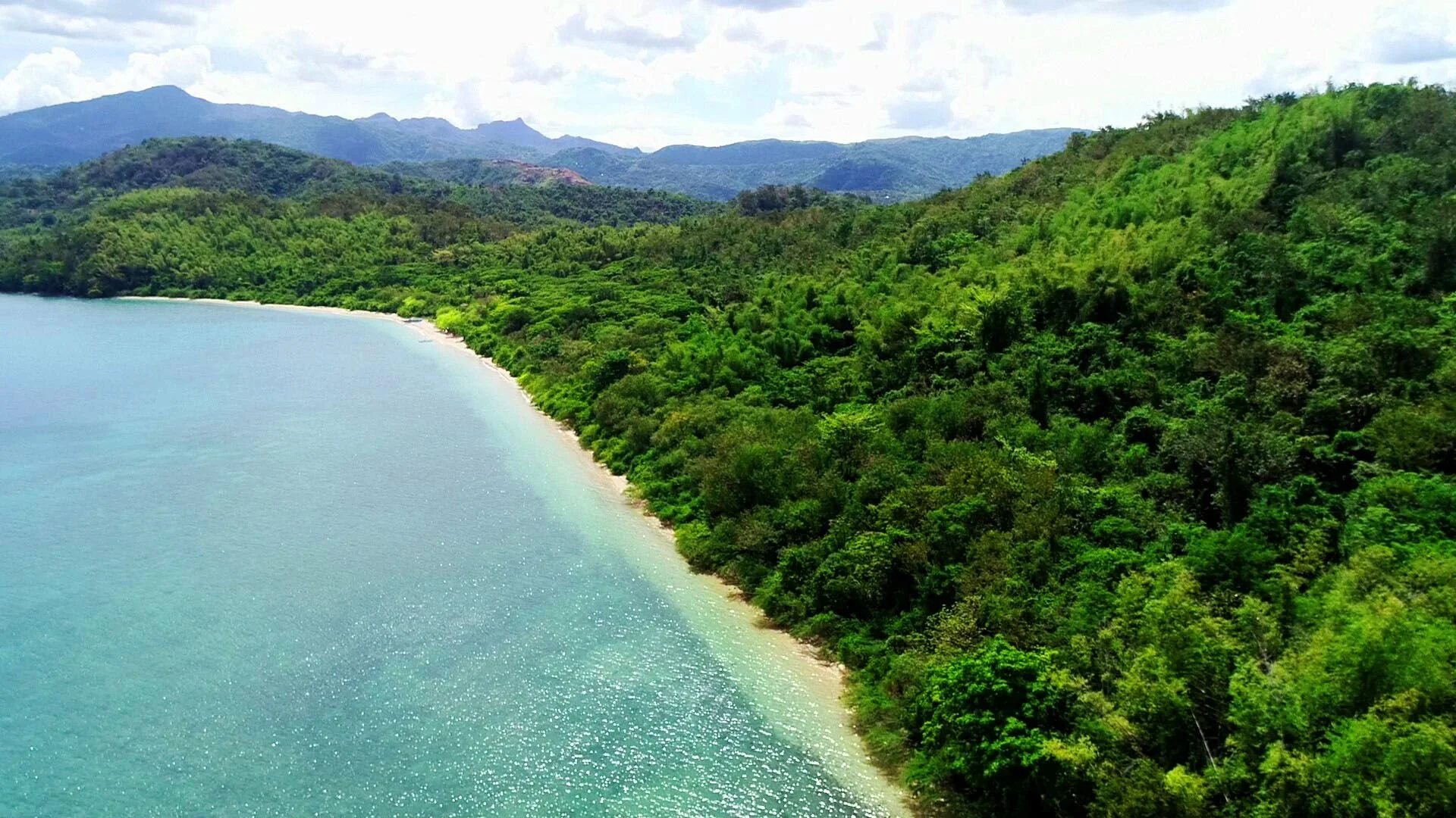 casabangan bean.jpg