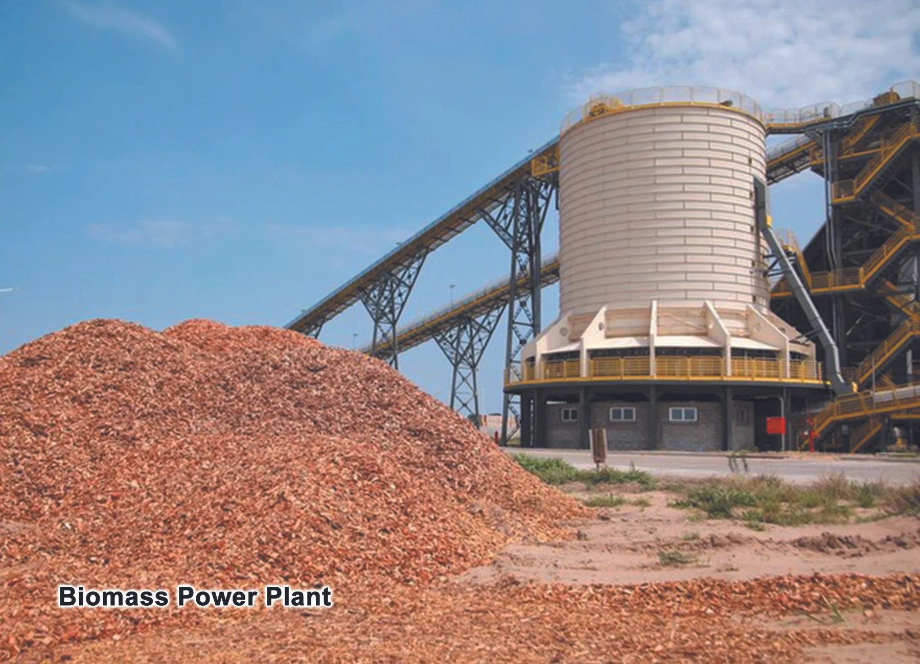 biomass.jpg