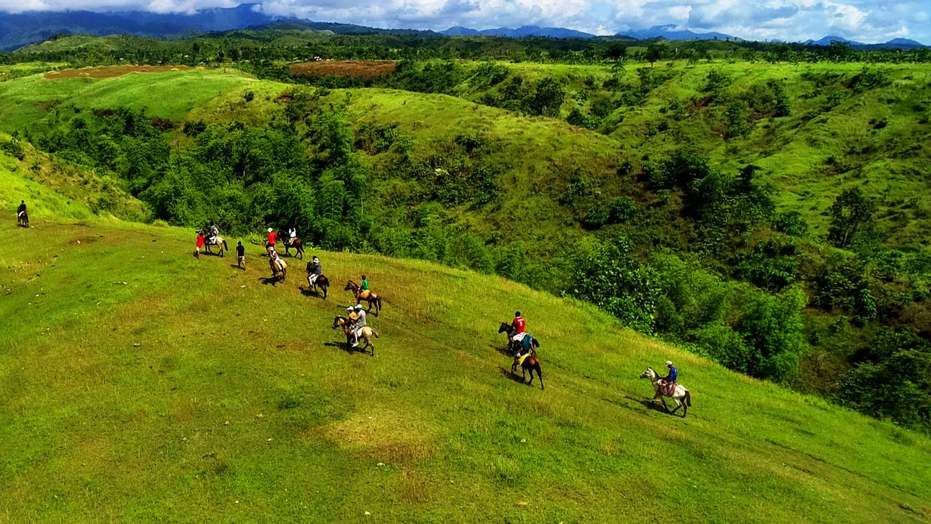 rosa cara rolling hills.jpg