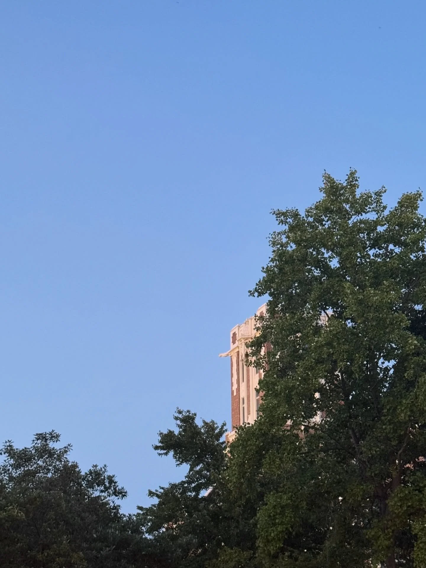 this chapter&hellip;.