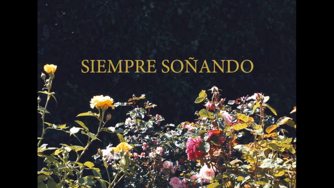 Siempre Soñando