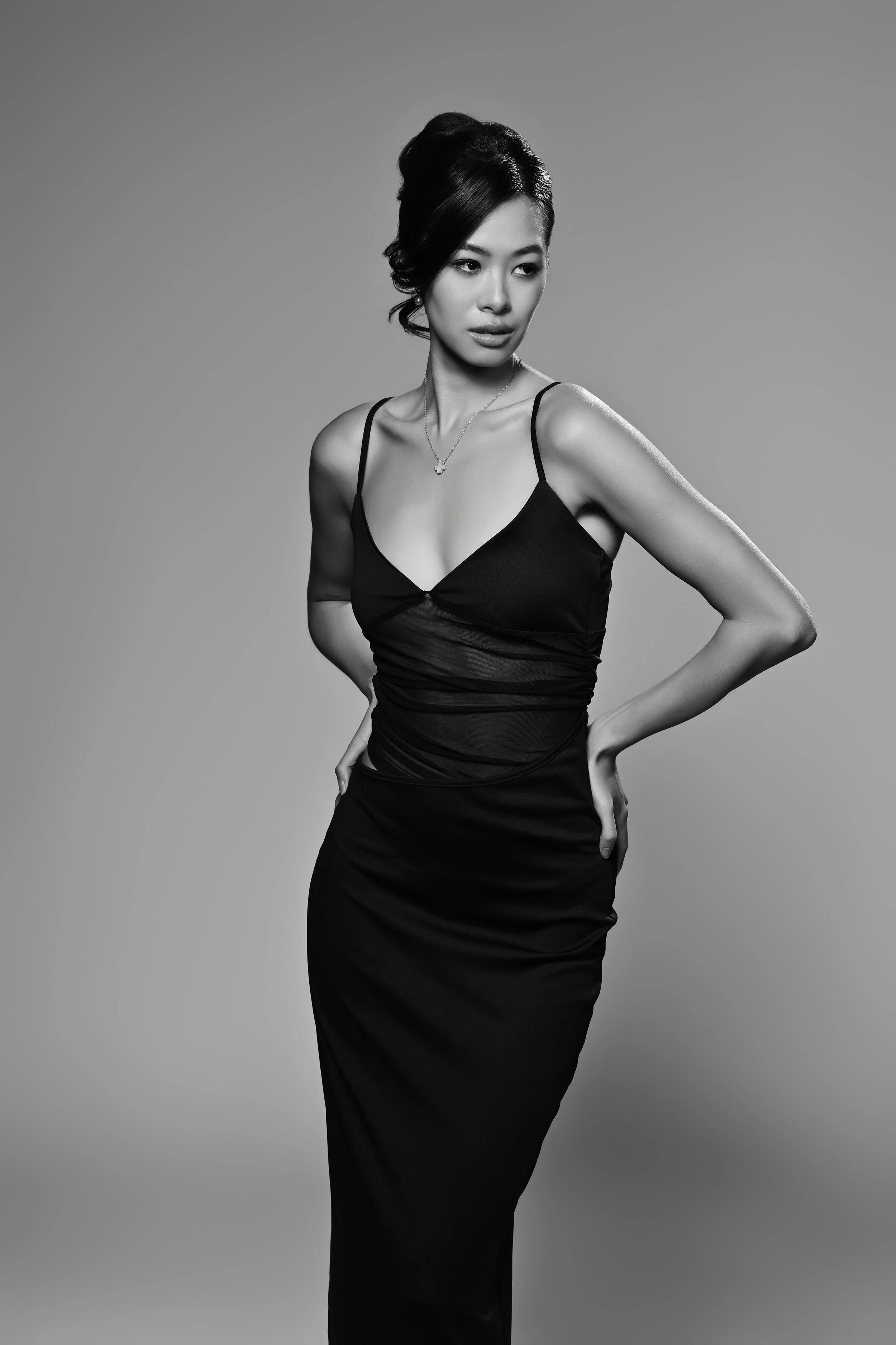 Portrait of a women in a elegant dress with a up hairdo